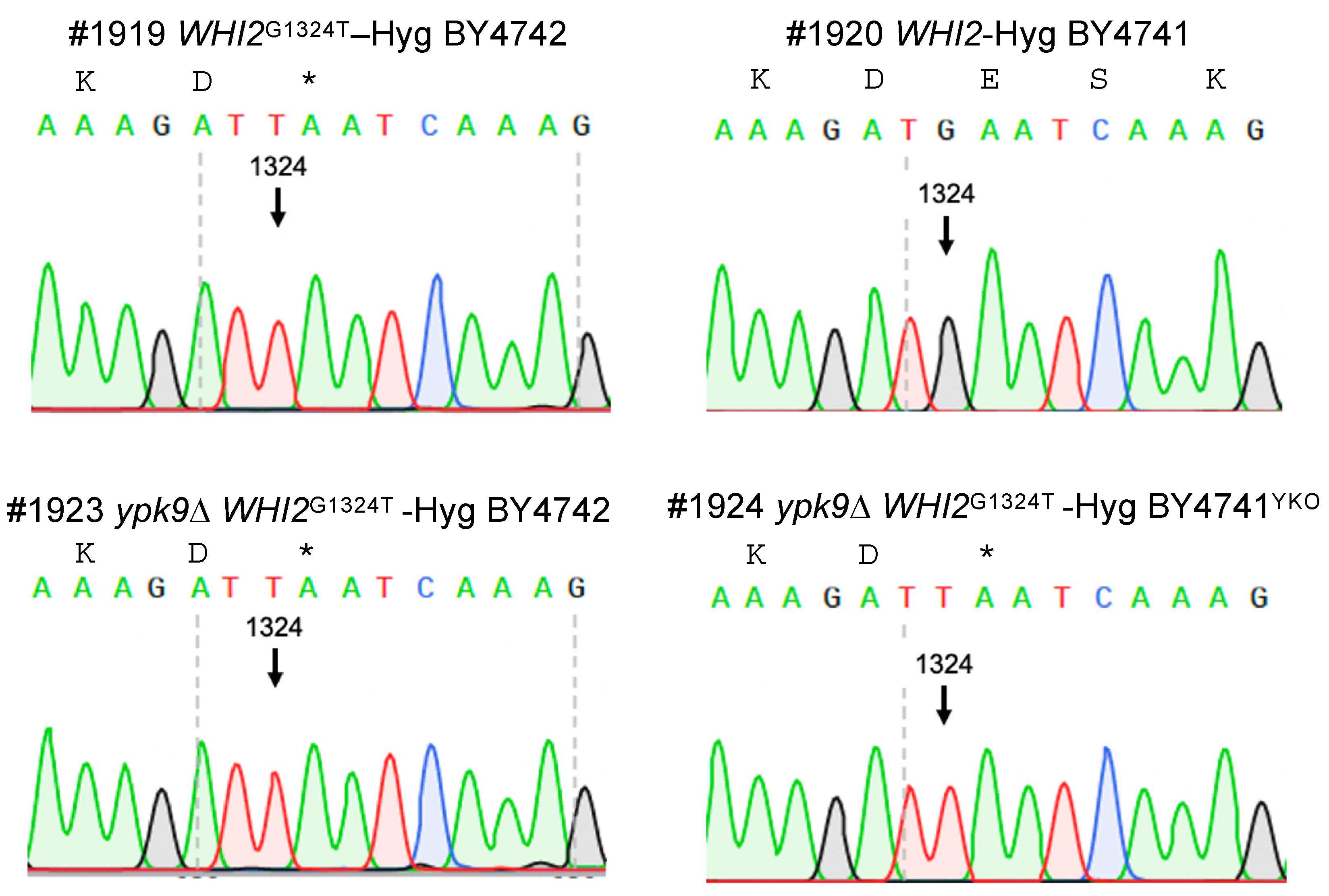 Microorganisms 09 02584 g003