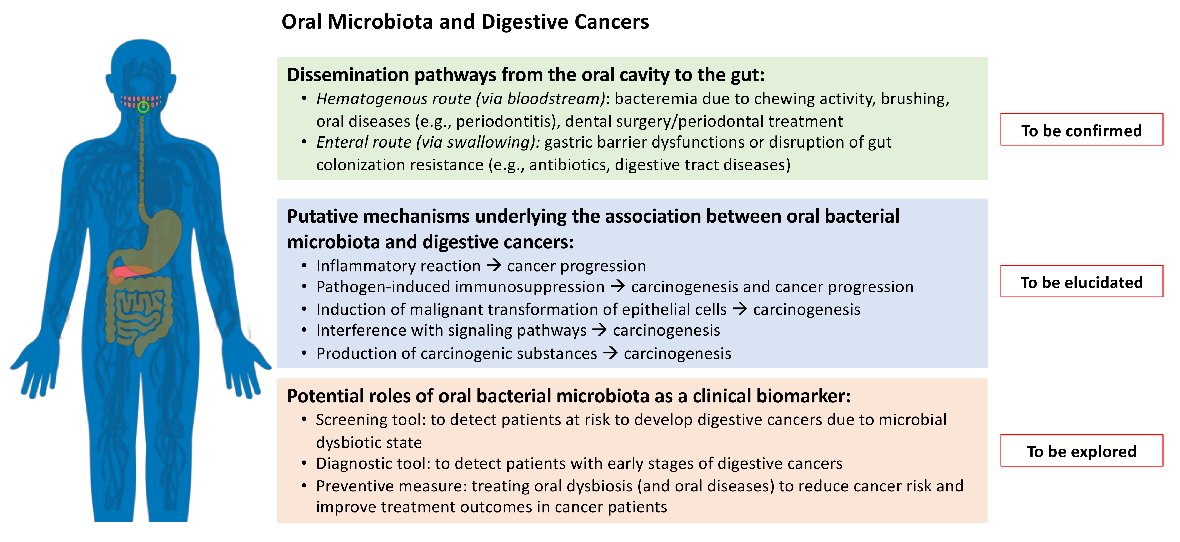 Microorganisms 09 02585 g002