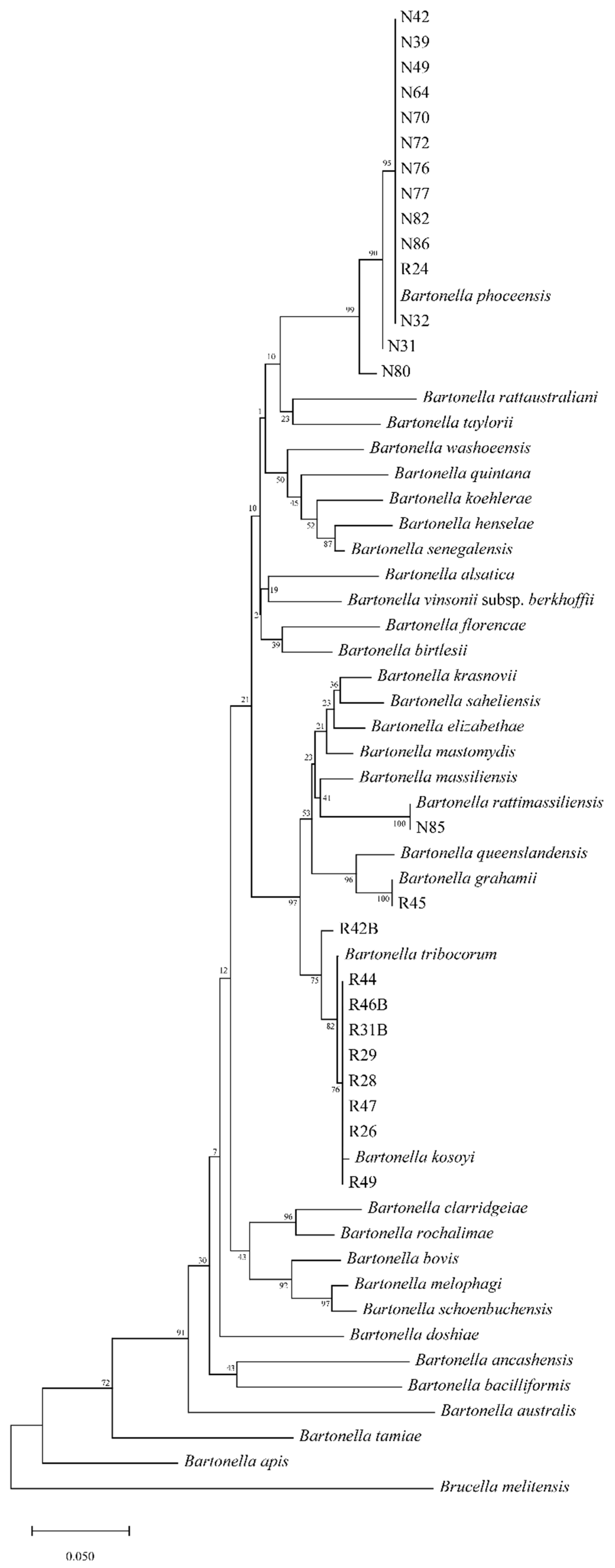 Microorganisms 09 02588 g002 Microorganisms 09 02588 g002