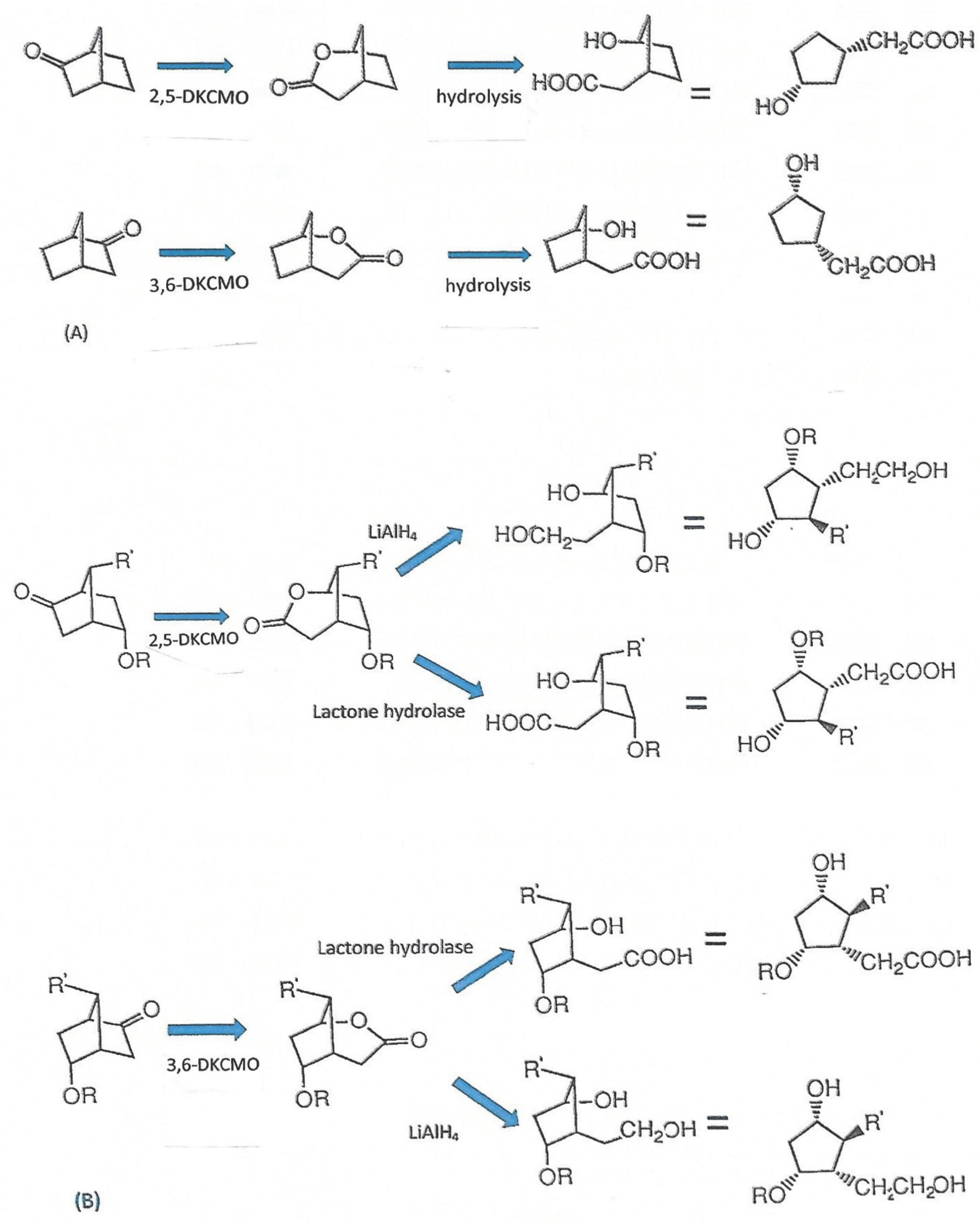 Microorganisms 09 02593 g006 550