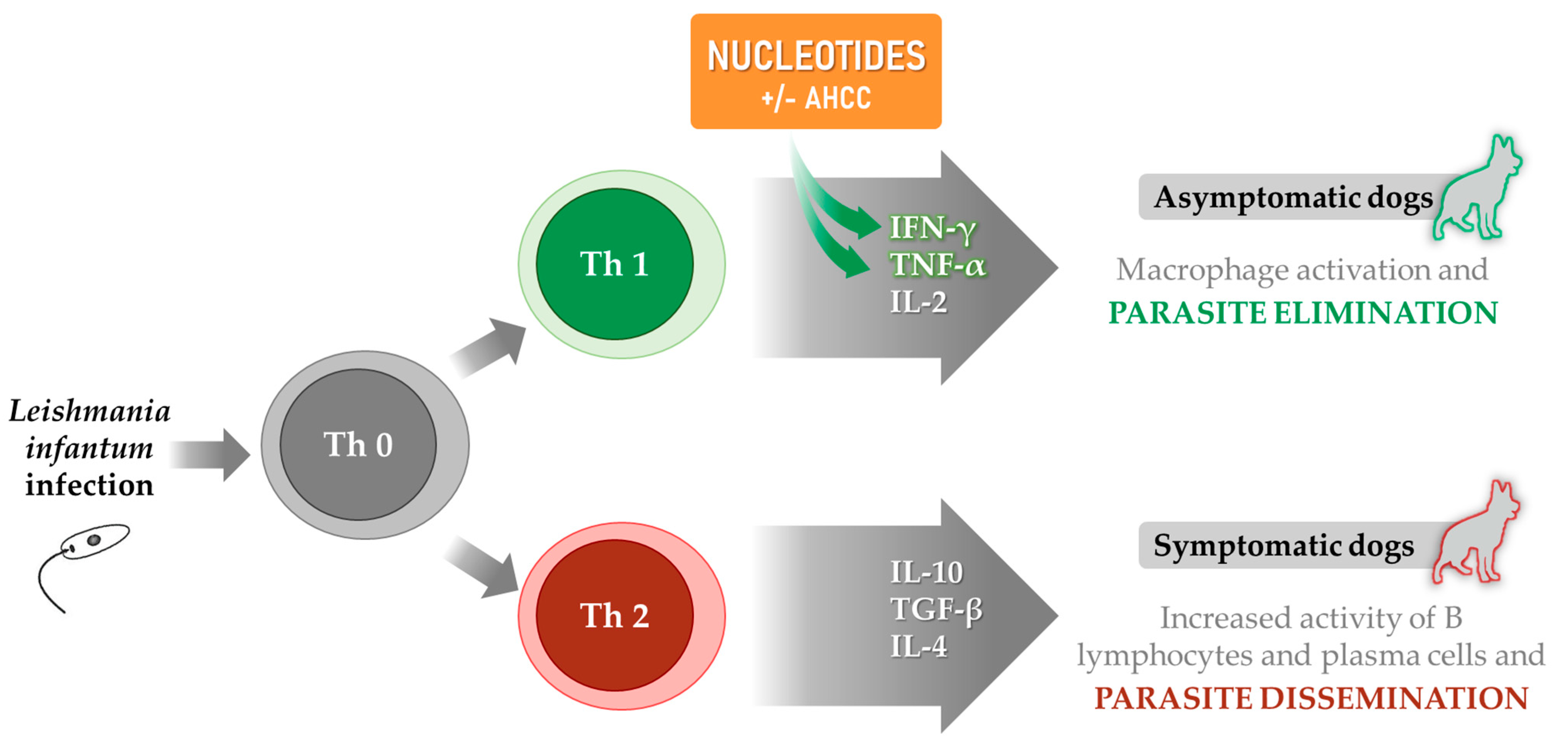 Microorganisms 09 02601 g001 Microorganisms 09 02601 g001