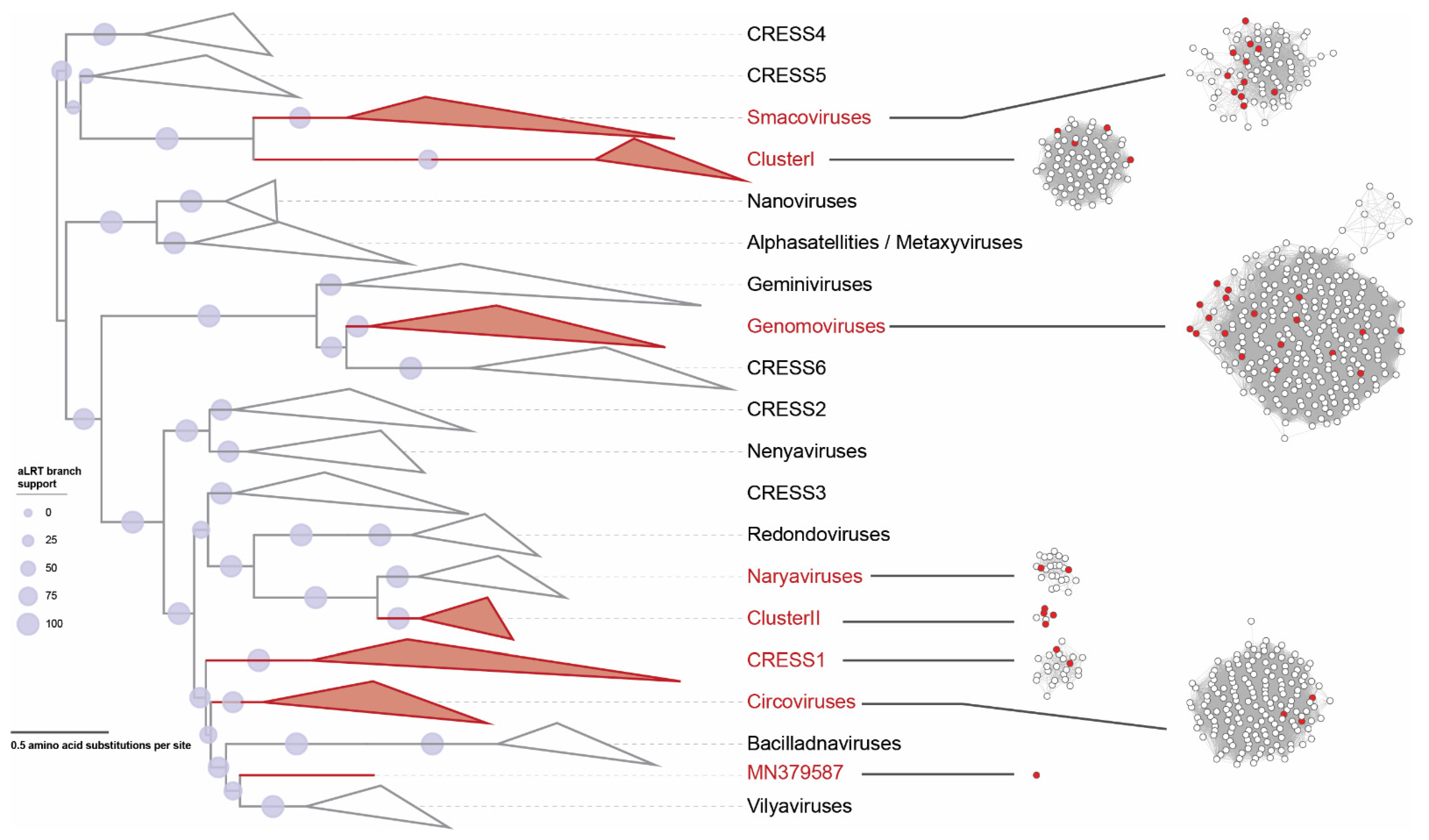 Microorganisms 09 02602 g001 550