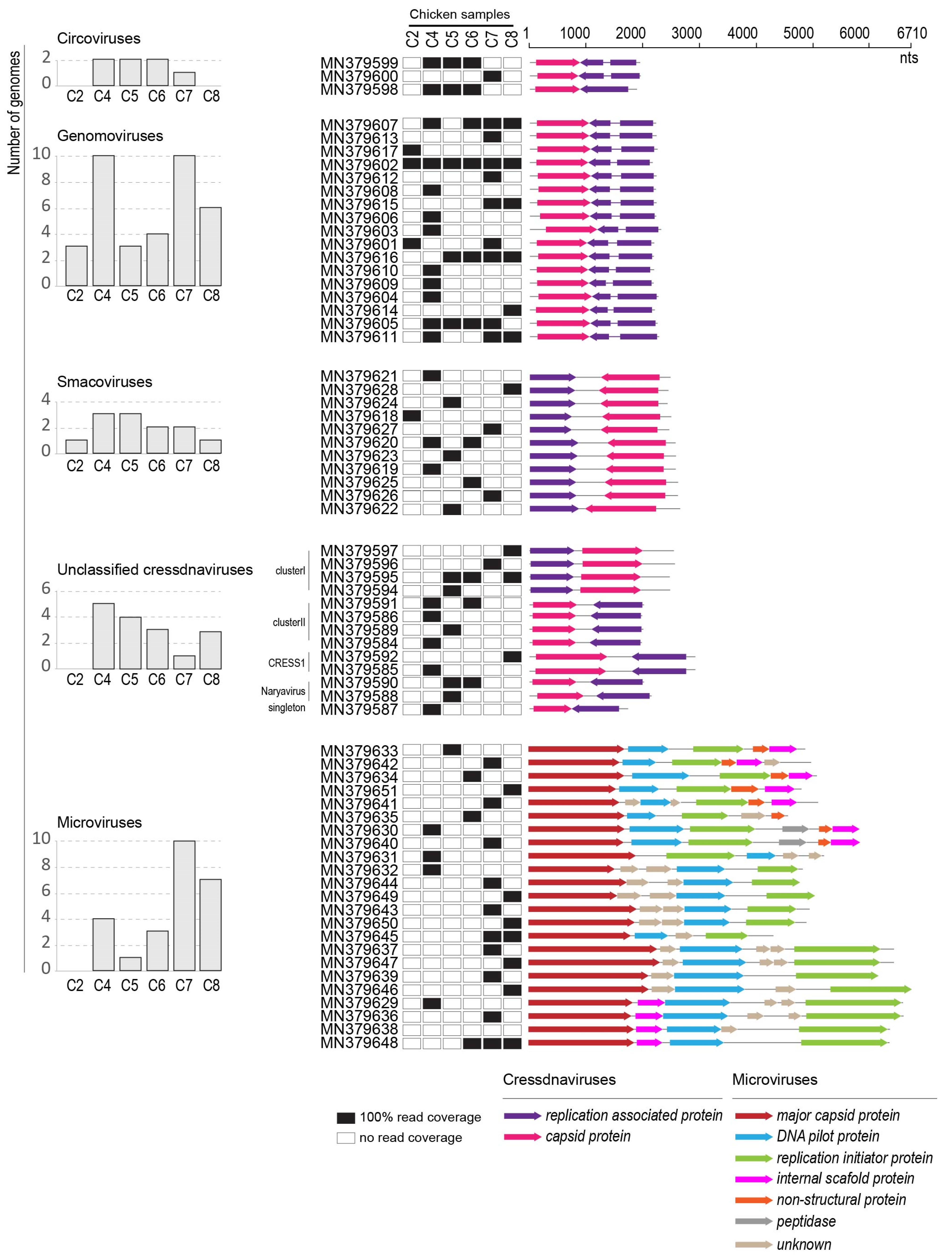 Microorganisms 09 02602 g002 550