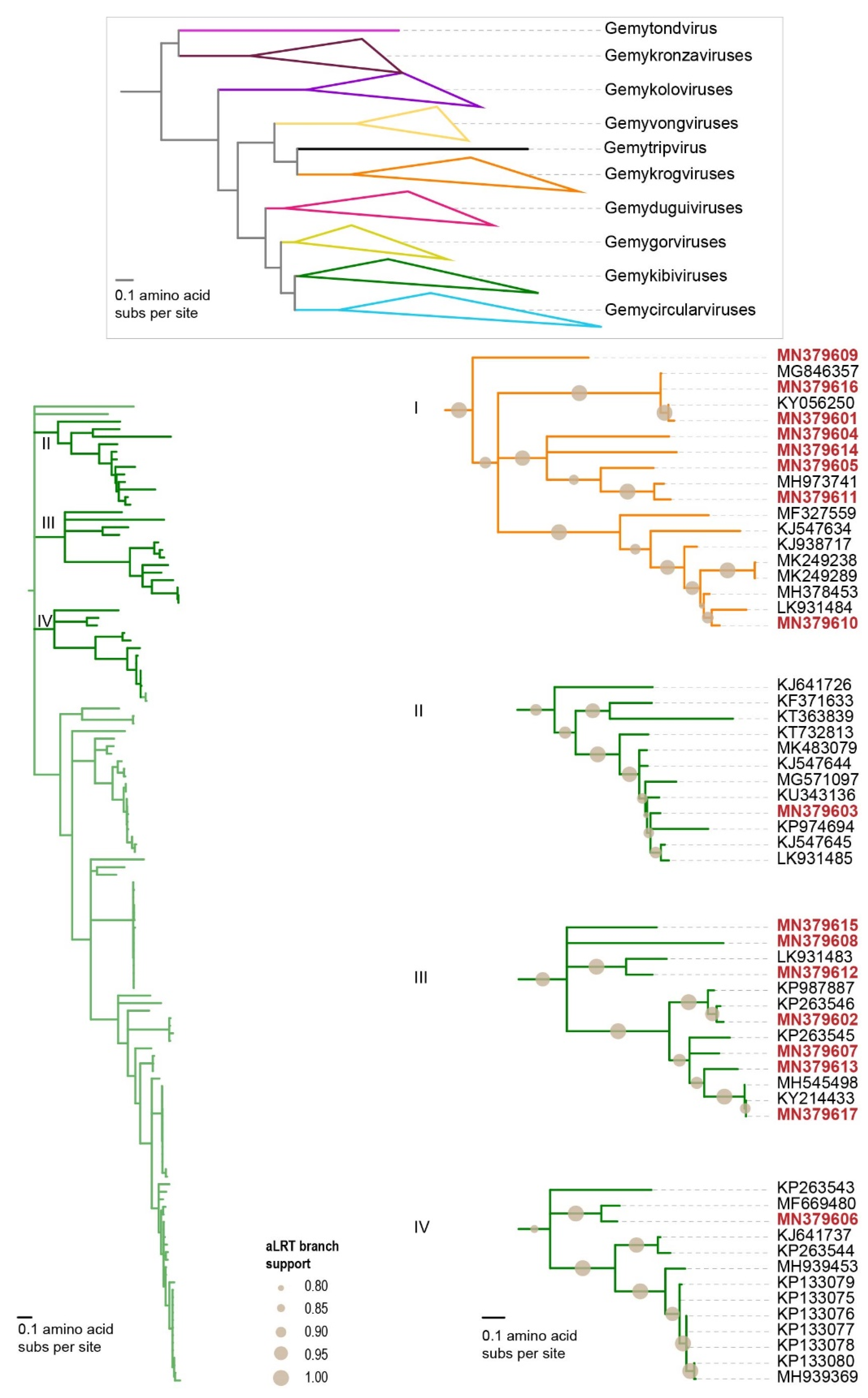 Microorganisms 09 02602 g004 550