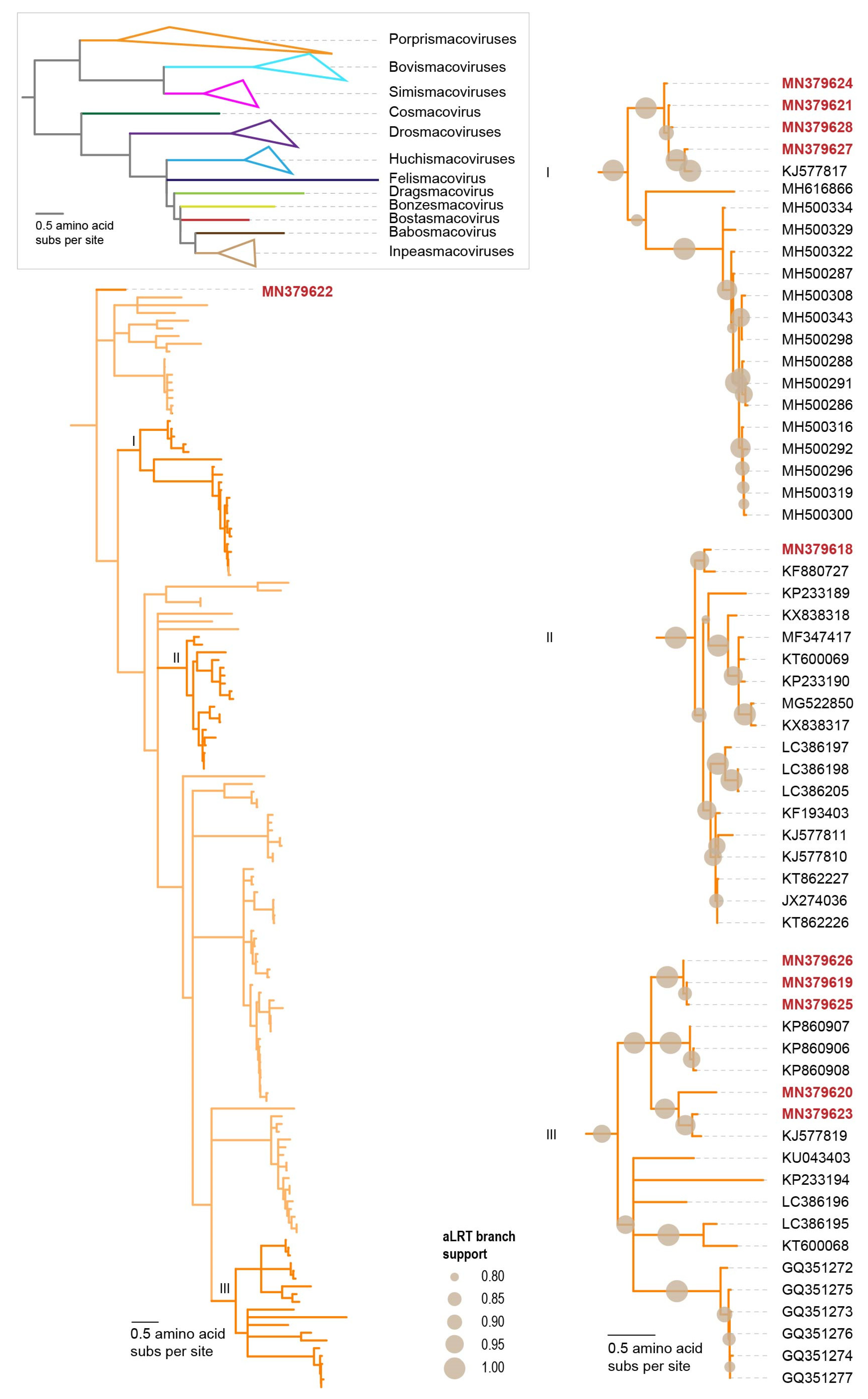 Microorganisms 09 02602 g005 550