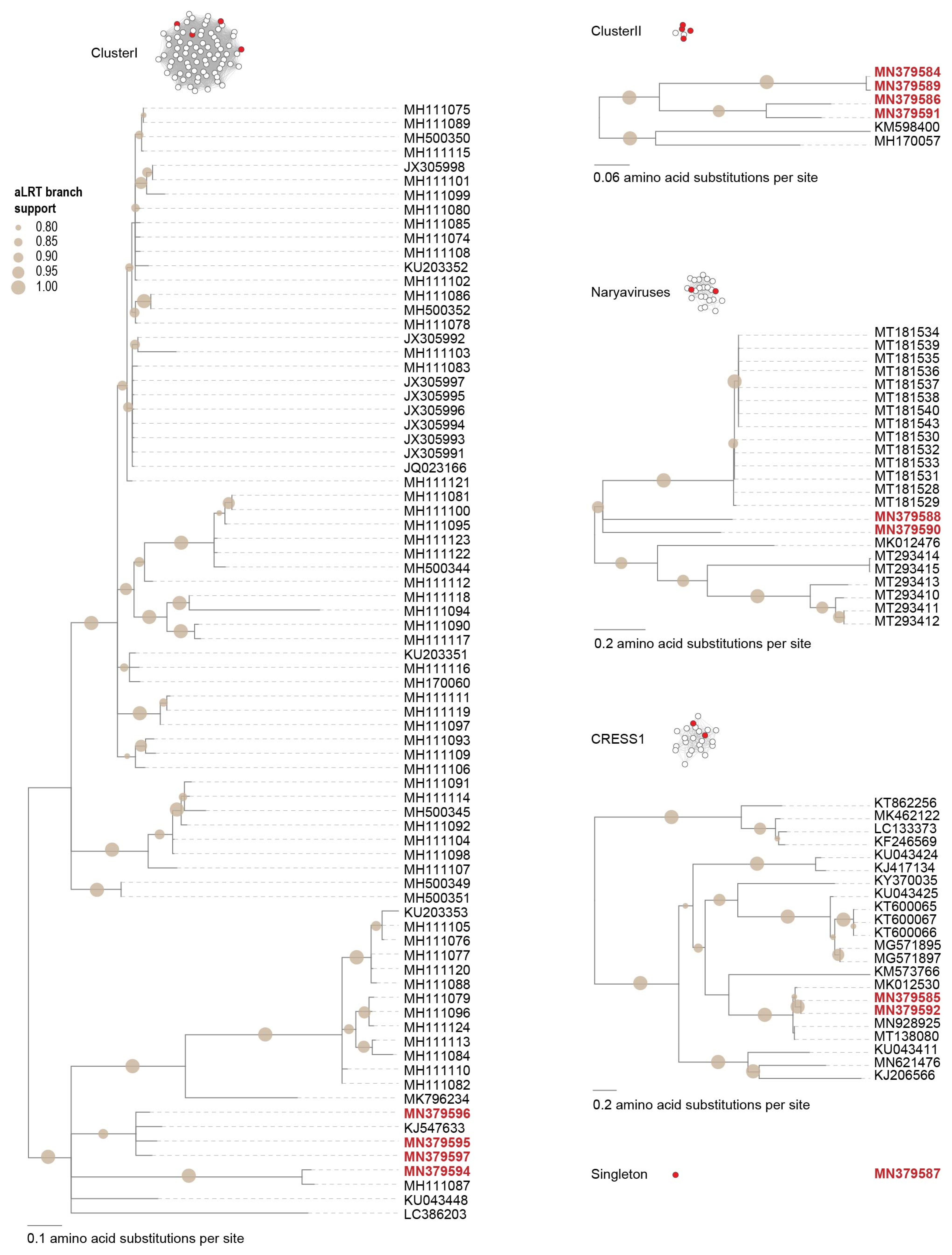 Microorganisms 09 02602 g006 550