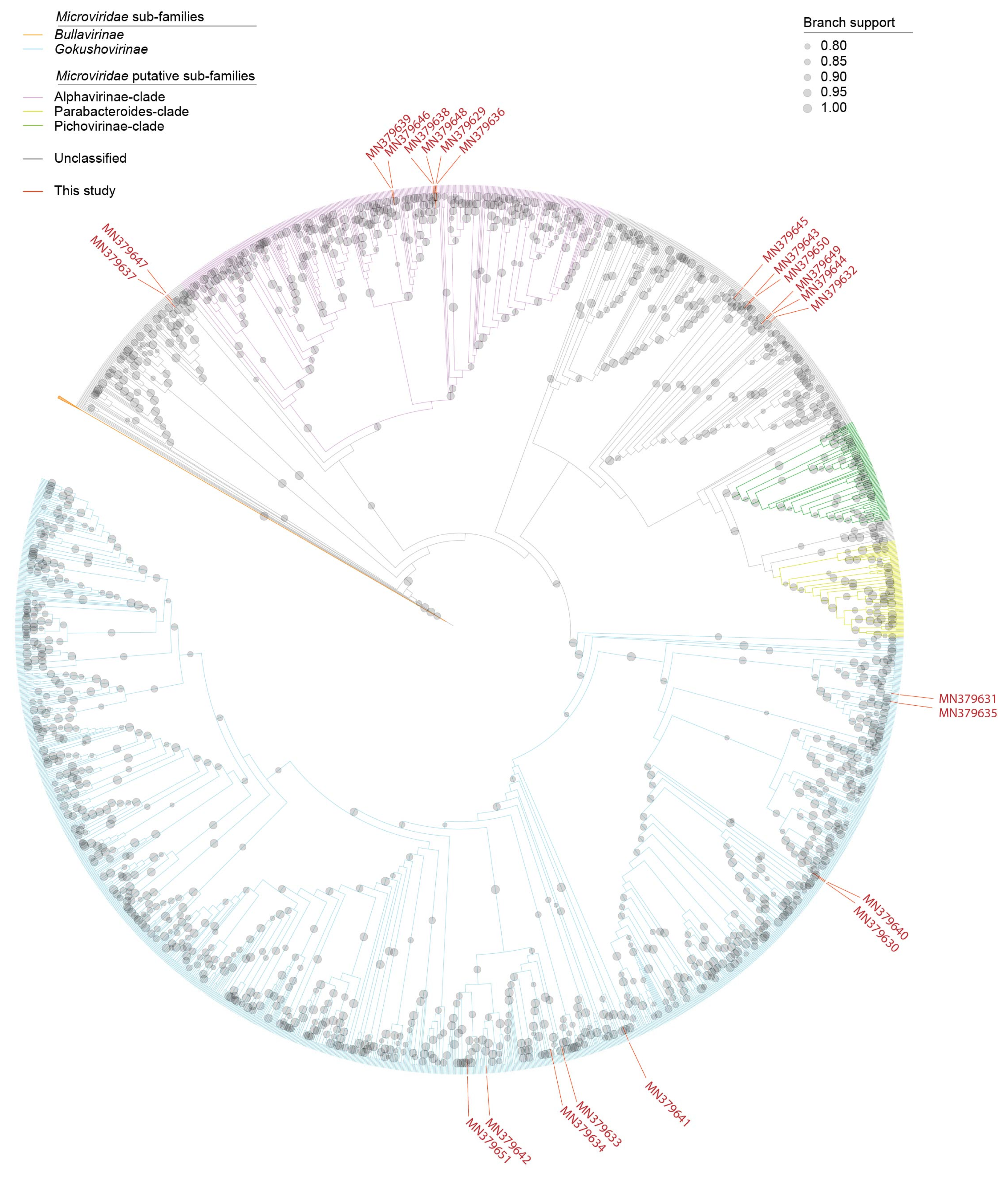 Microorganisms 09 02602 g007 550