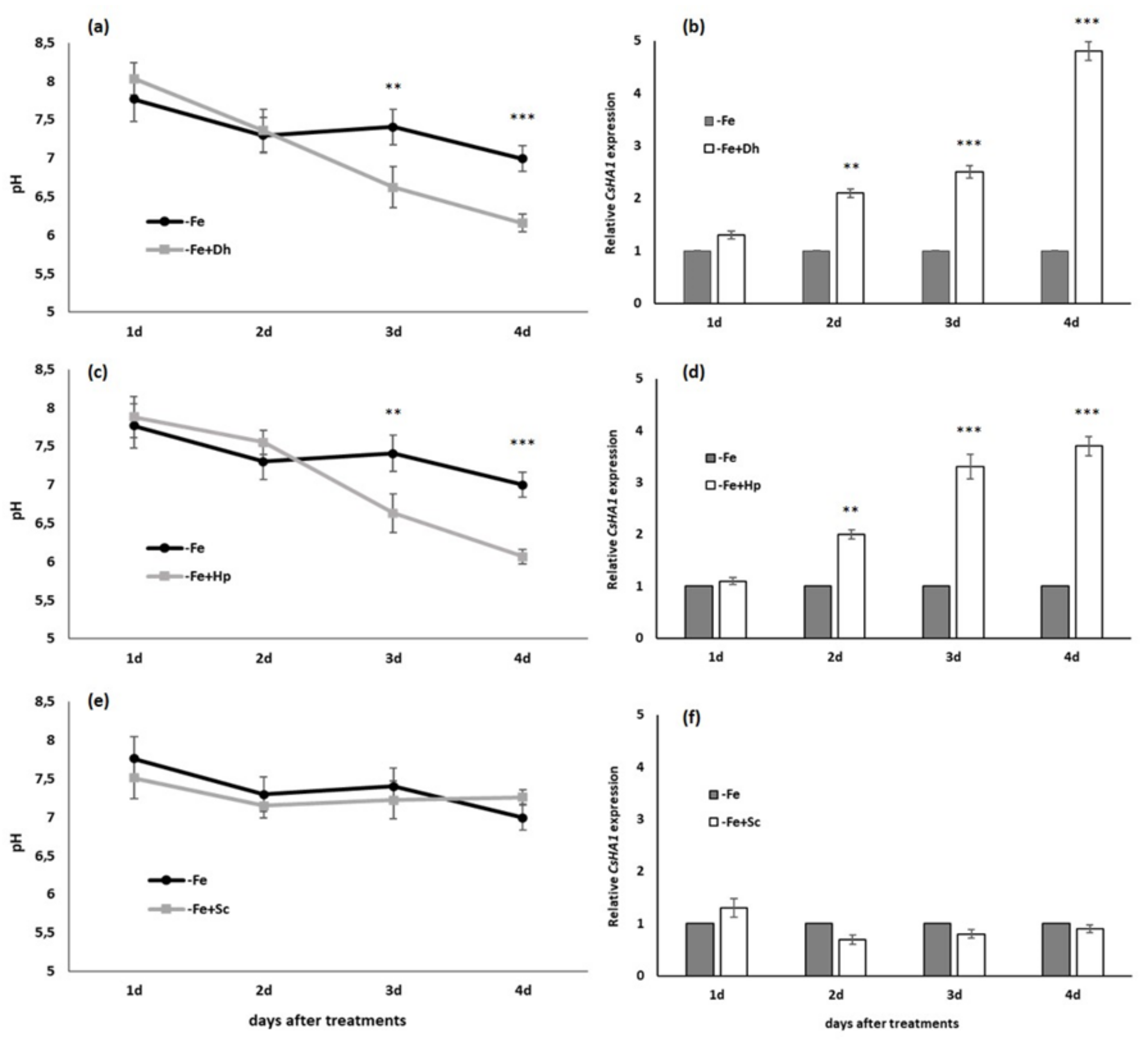 Microorganisms 09 02603 g002