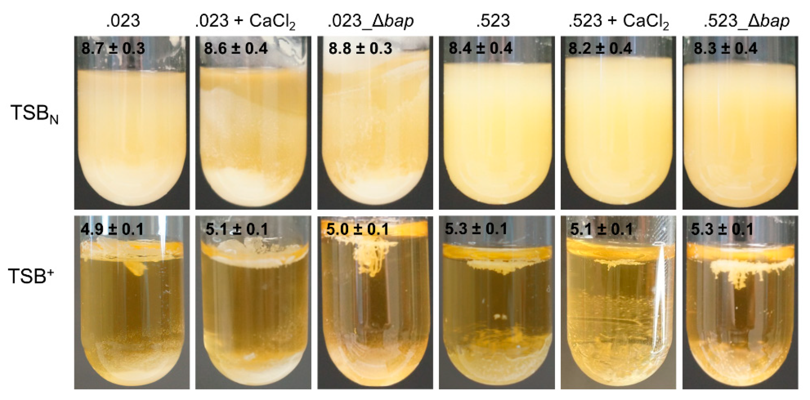 Microorganisms 09 02610 g006