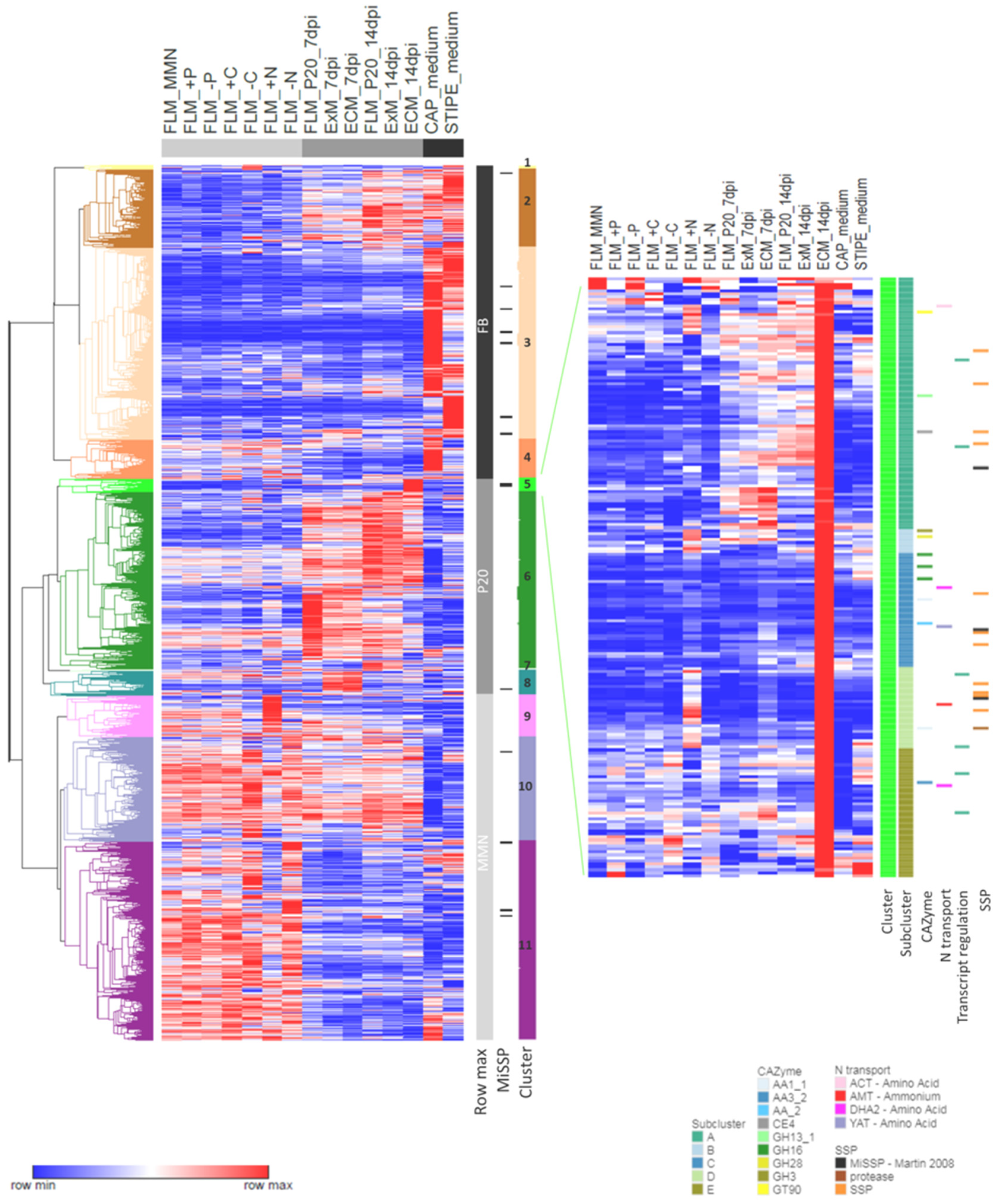 Microorganisms 09 02612 g004 Microorganisms 09 02612 g004