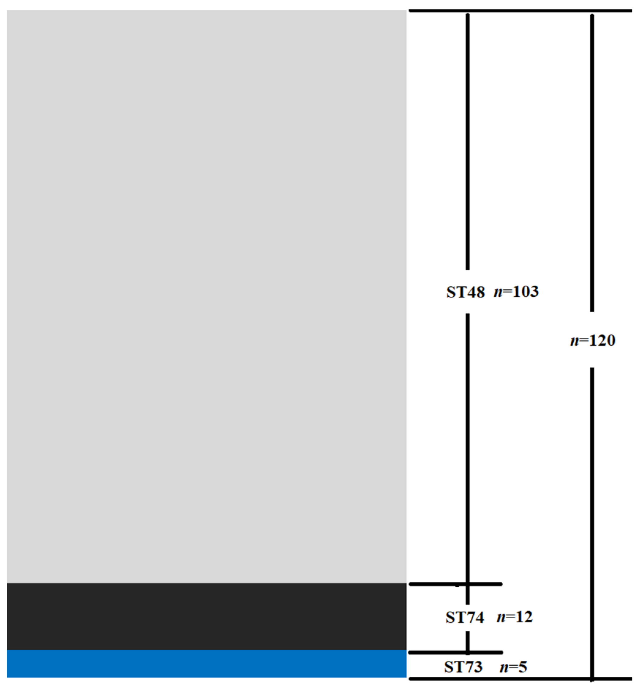 Microorganisms 09 02615 g001