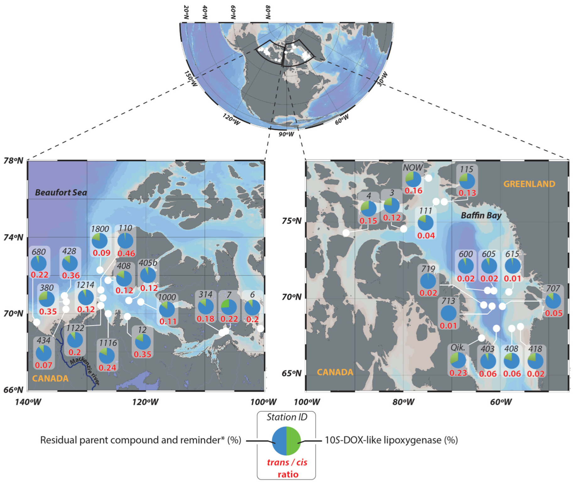 Microorganisms 09 02626 g001 550