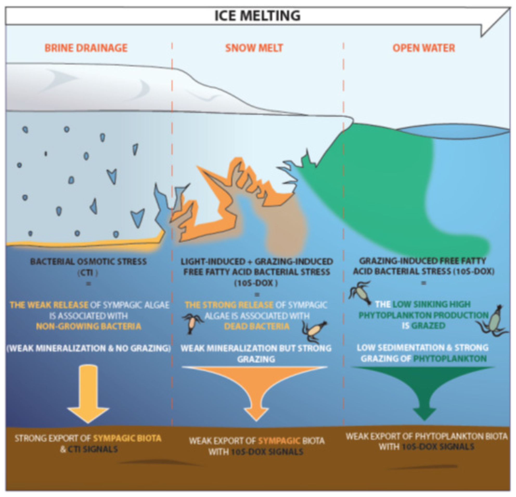 Microorganisms 09 02626 g004 550
