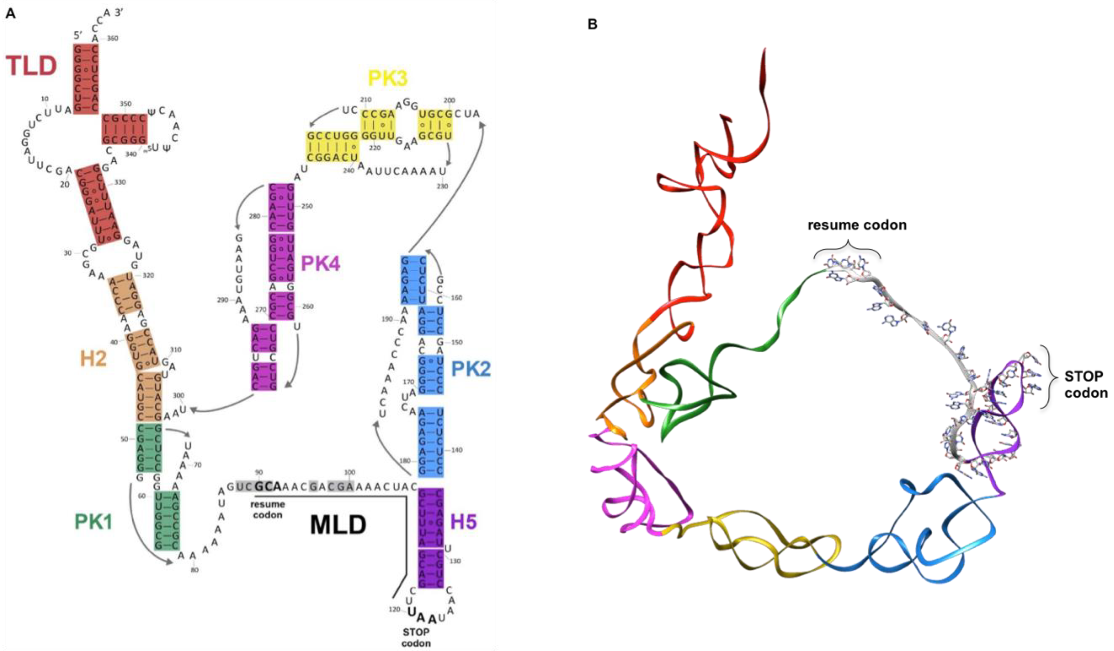Microorganisms 10 00003 g001 Microorganisms 10 00003 g001