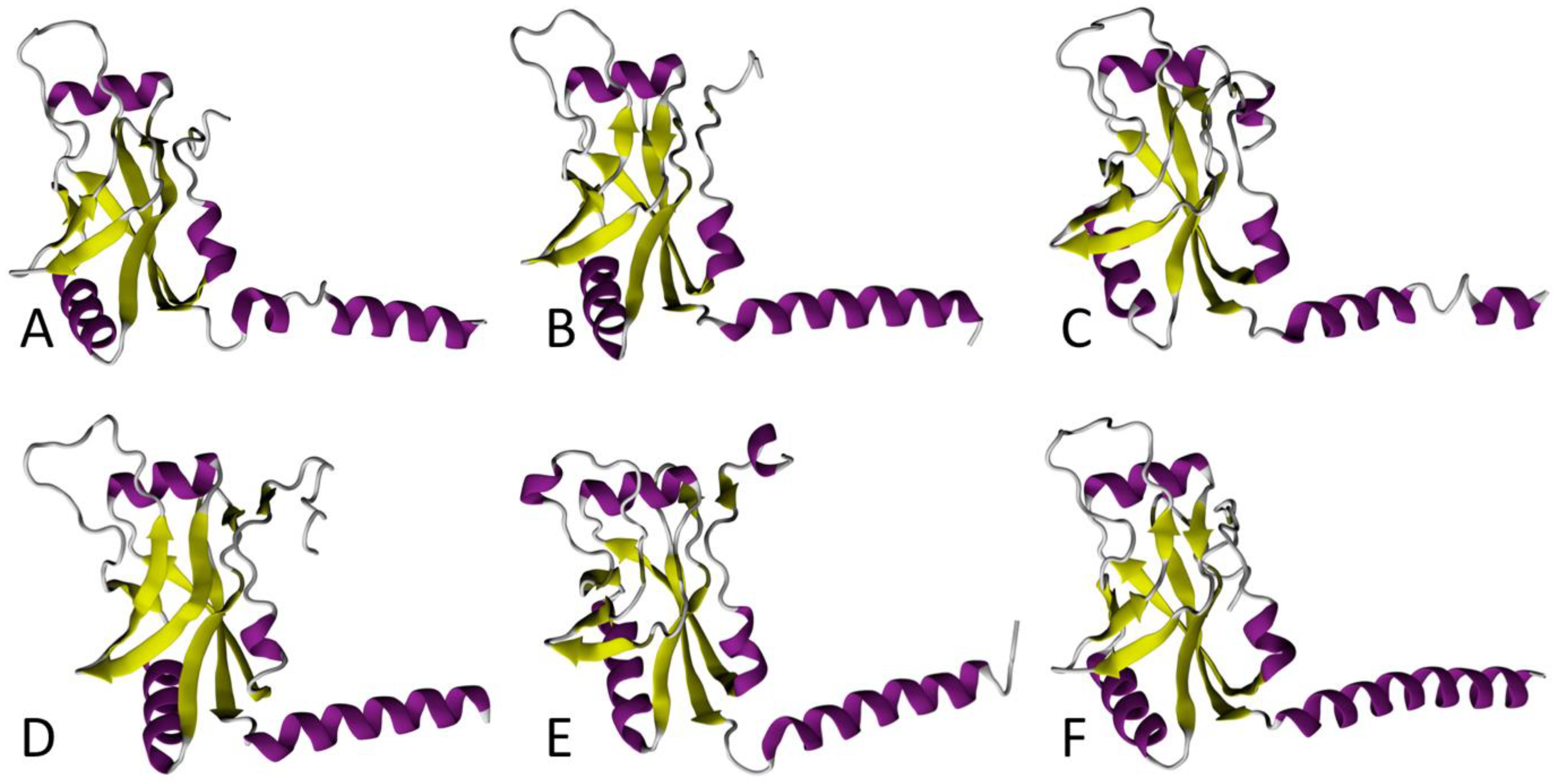 Microorganisms 10 00003 g002 Microorganisms 10 00003 g002