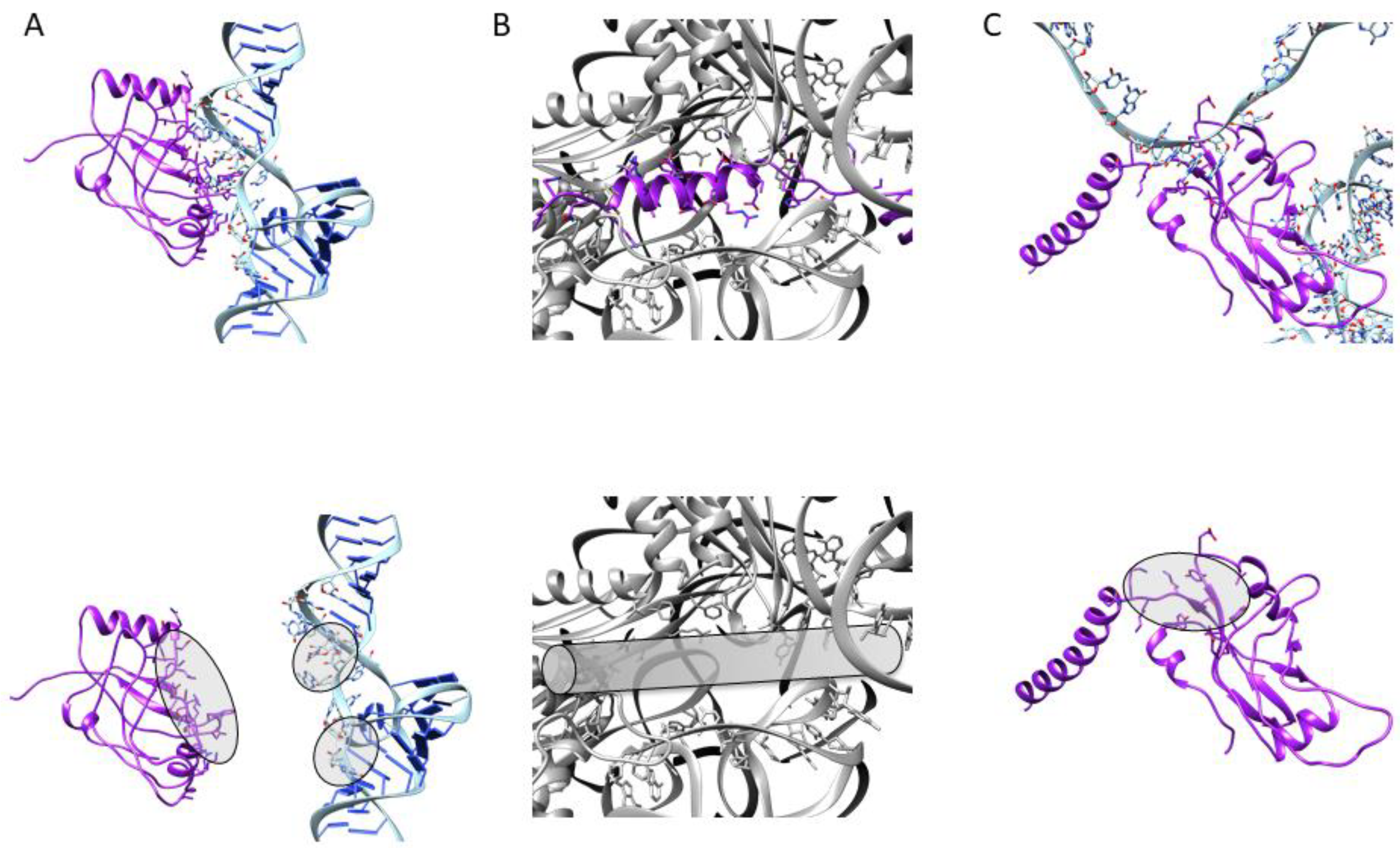 Microorganisms 10 00003 g005 Microorganisms 10 00003 g005