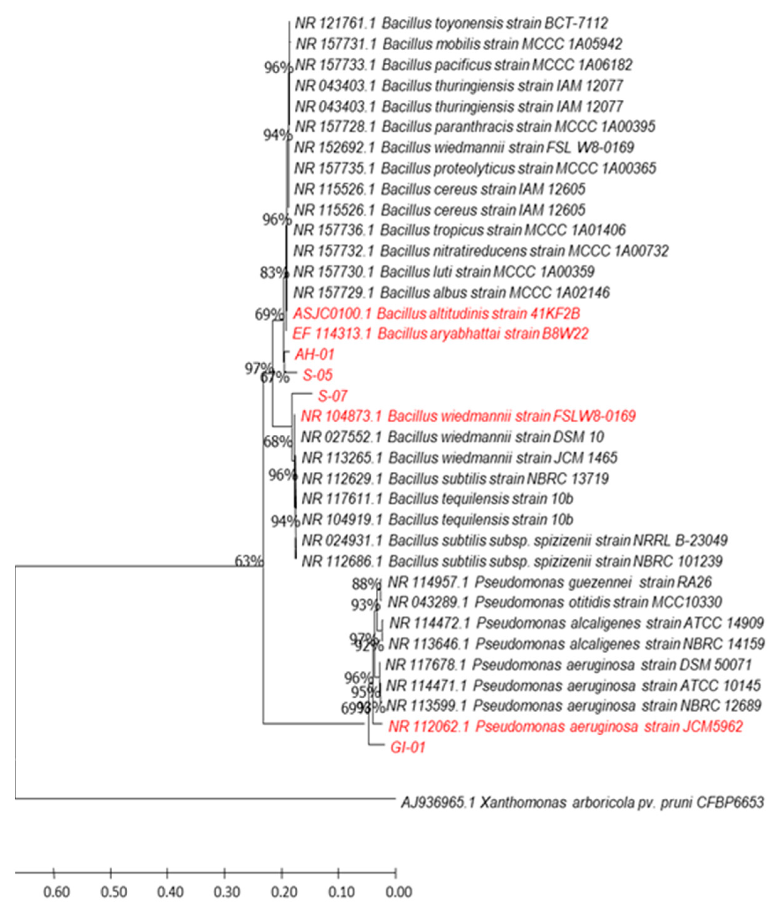 Microorganisms 10 00021 g003