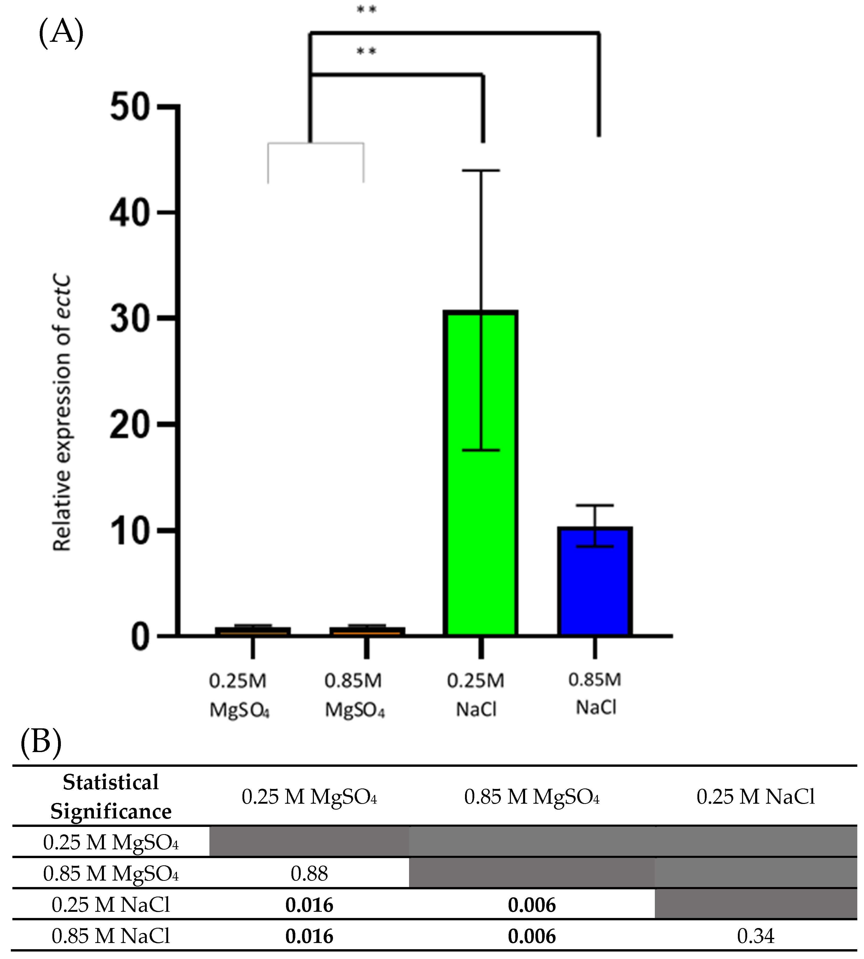 Microorganisms 10 00022 g002