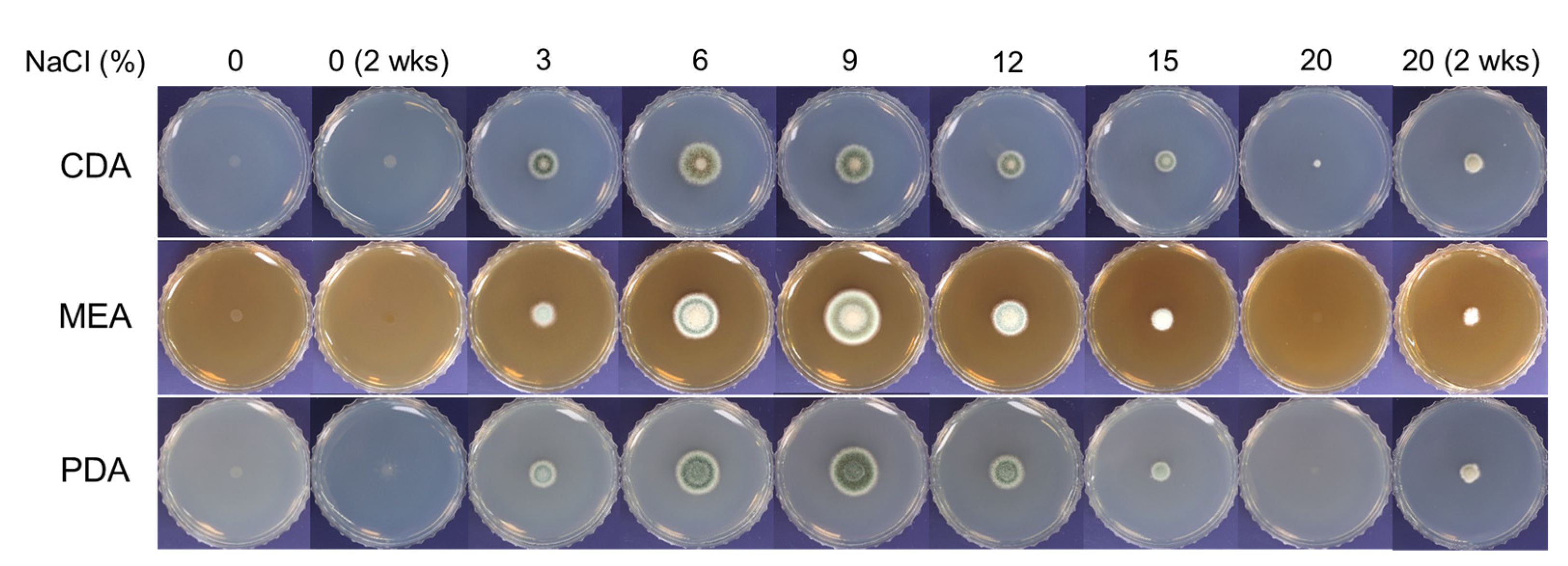 Microorganisms 10 00029 g001 550