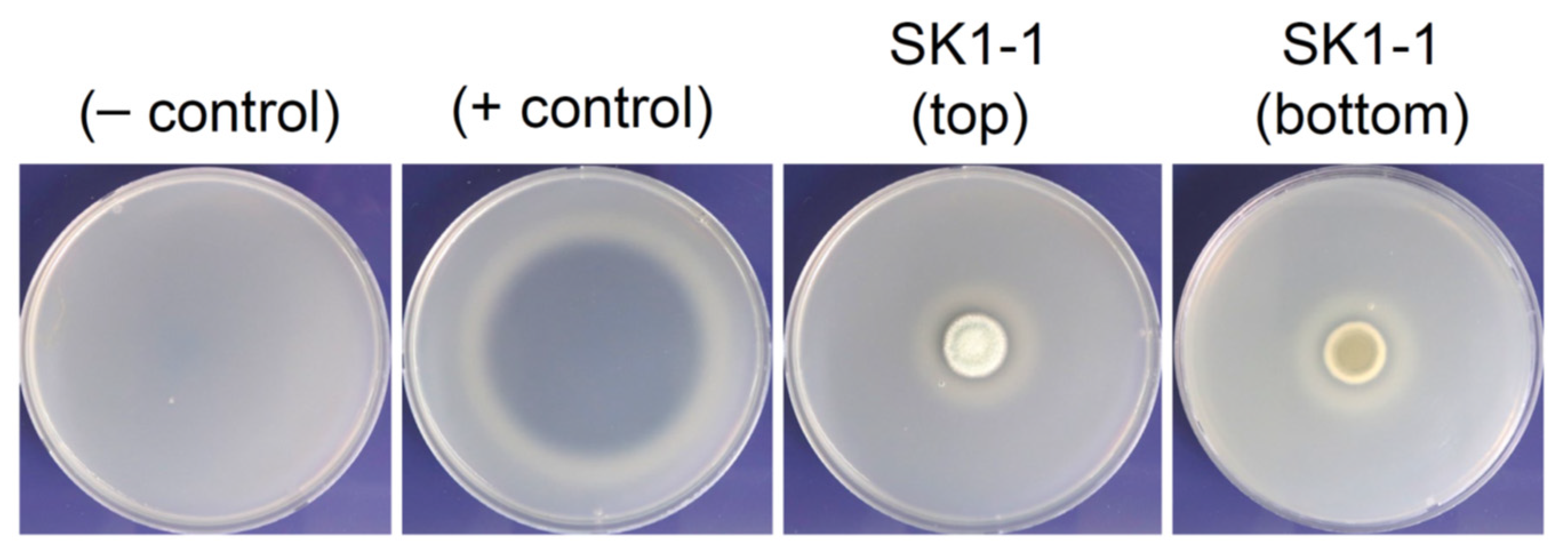 Microorganisms 10 00029 g003 550