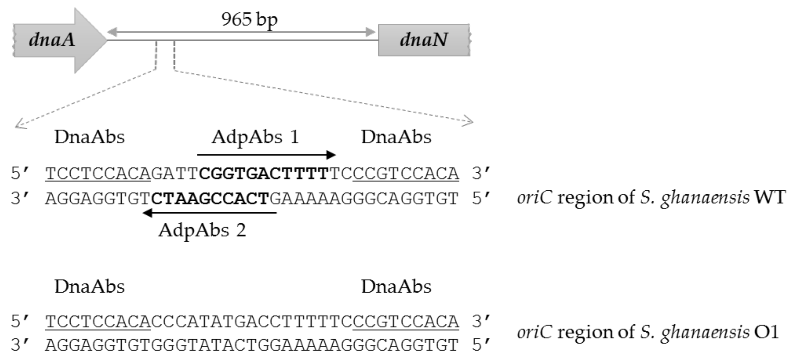 Microorganisms 10 00030 g001