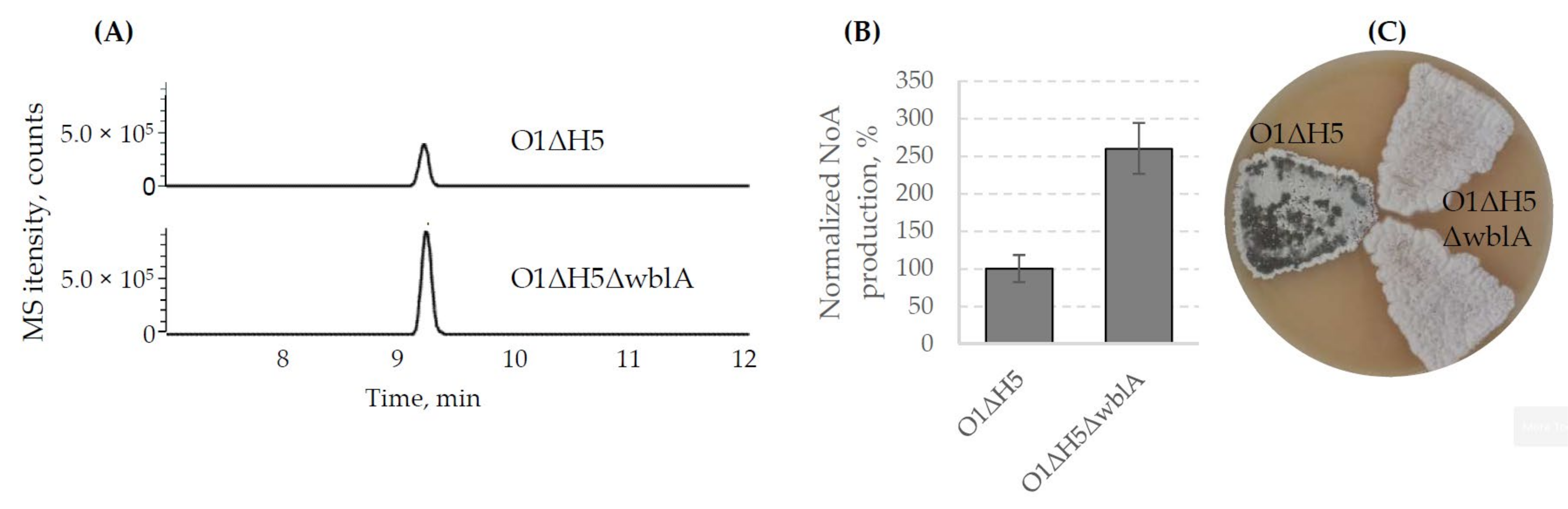 Microorganisms 10 00030 g006