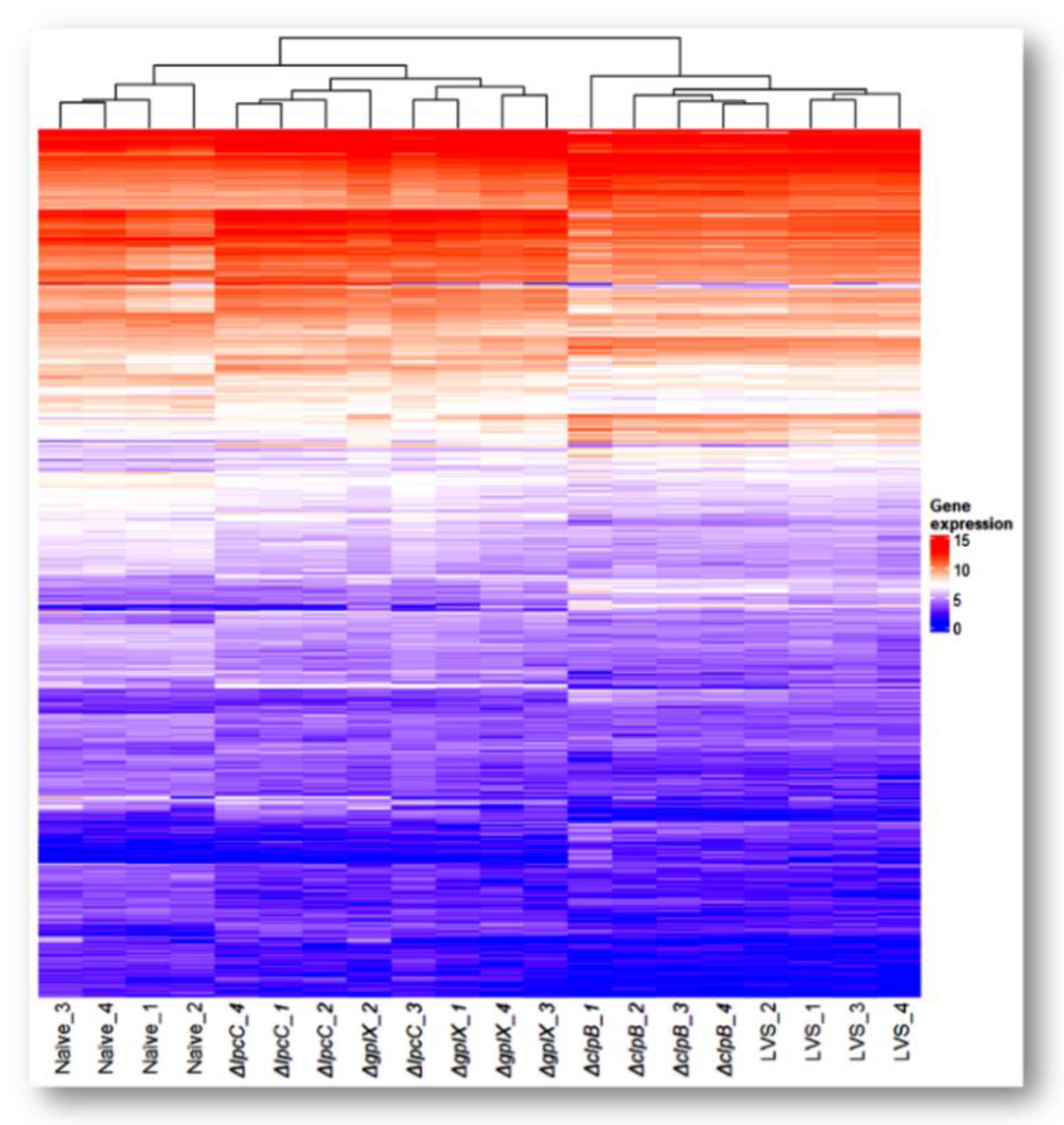 Microorganisms 10 00036 g001 Microorganisms 10 00036 g001