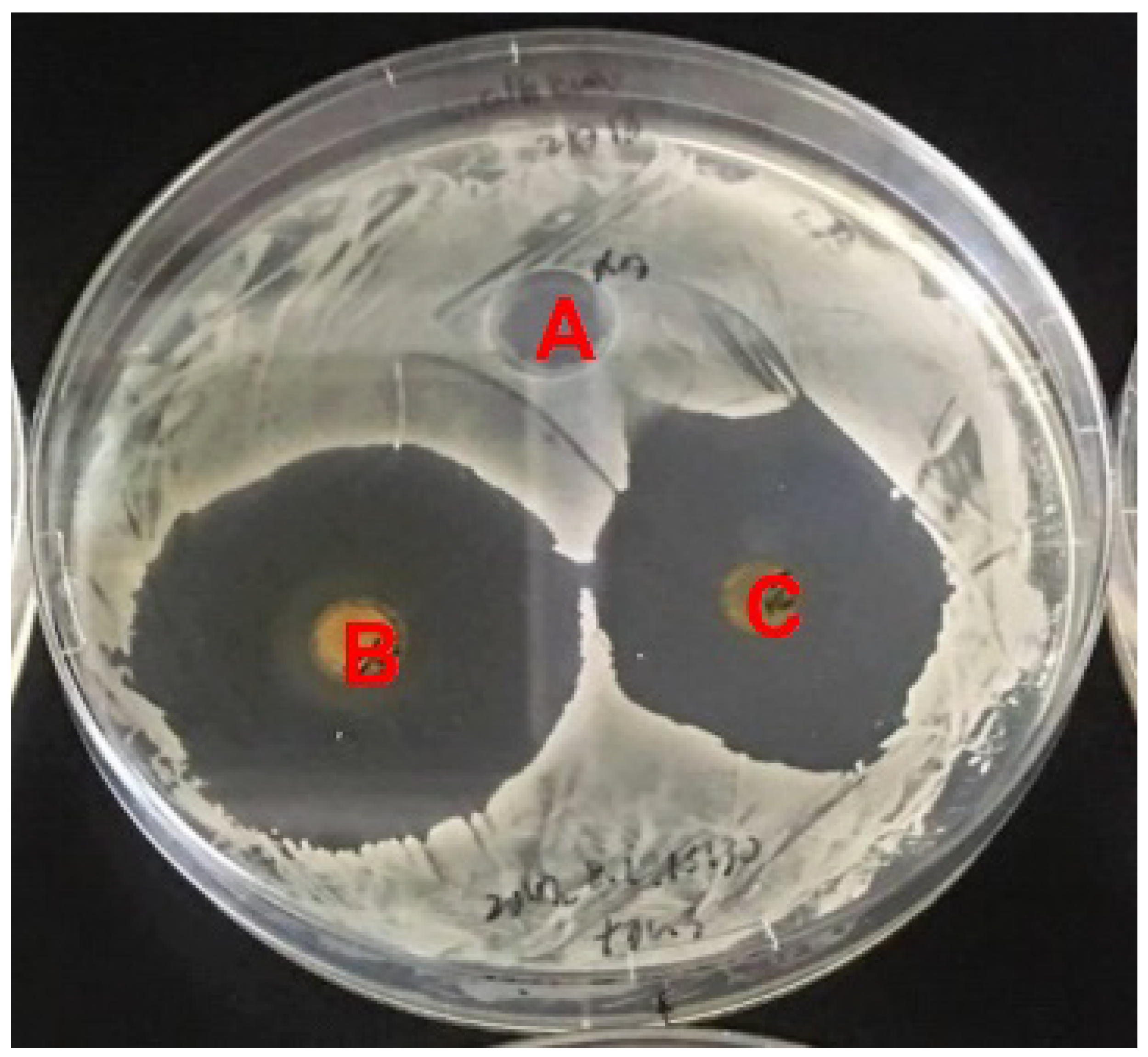Microorganisms 10 00037 g001 Microorganisms 10 00037 g001