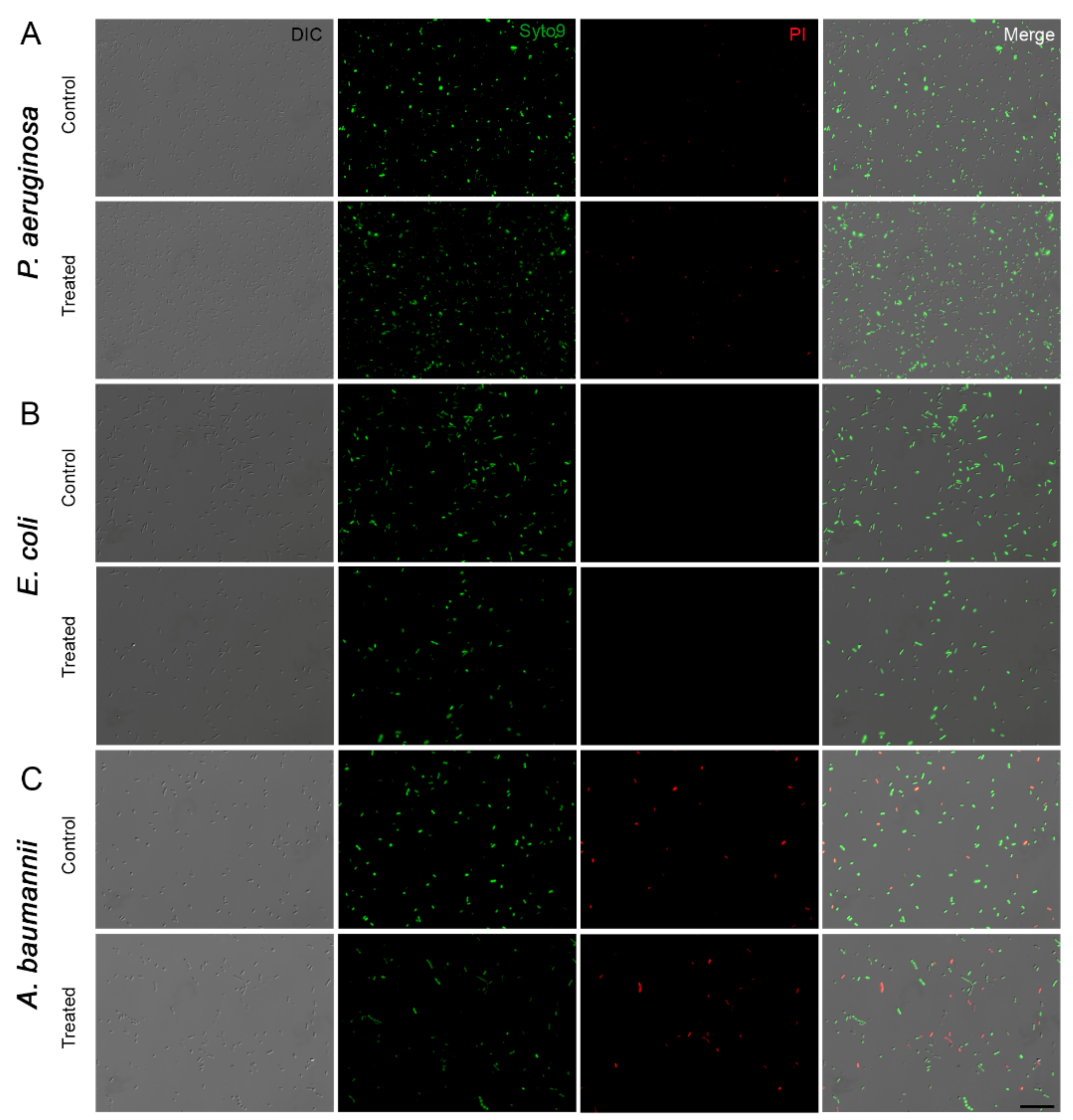 Microorganisms 10 00040 g004 Microorganisms 10 00040 g004