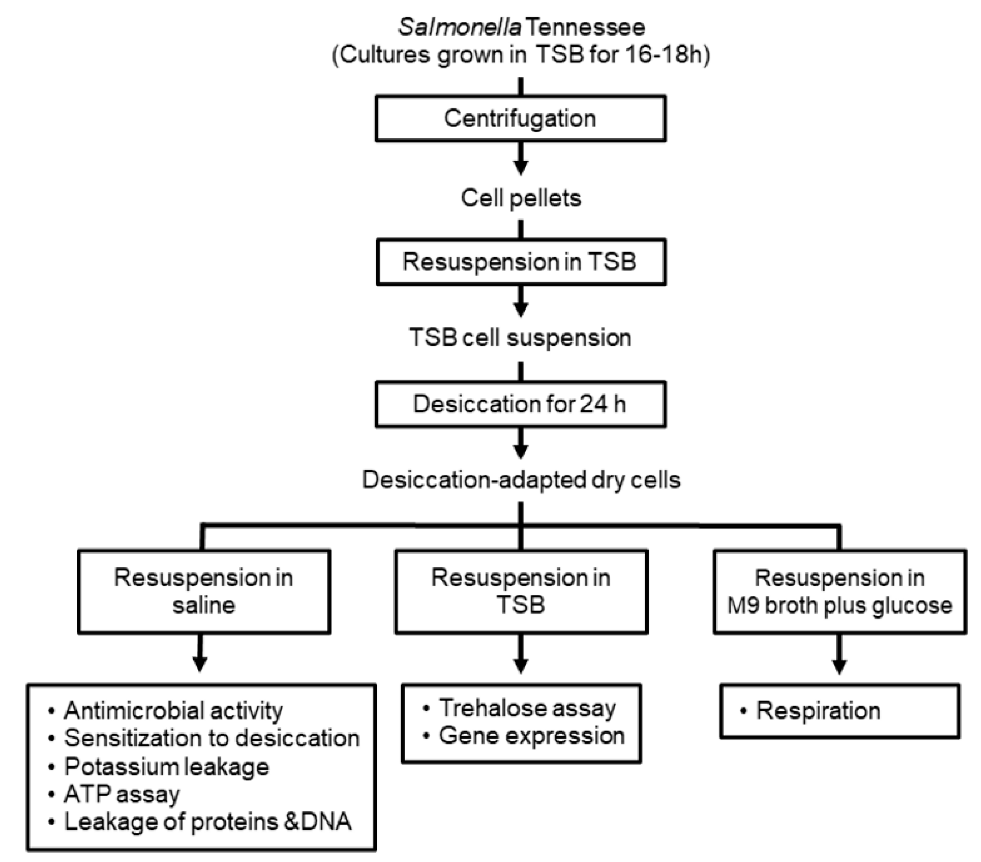 Microorganisms 10 00044 g001 Microorganisms 10 00044 g001