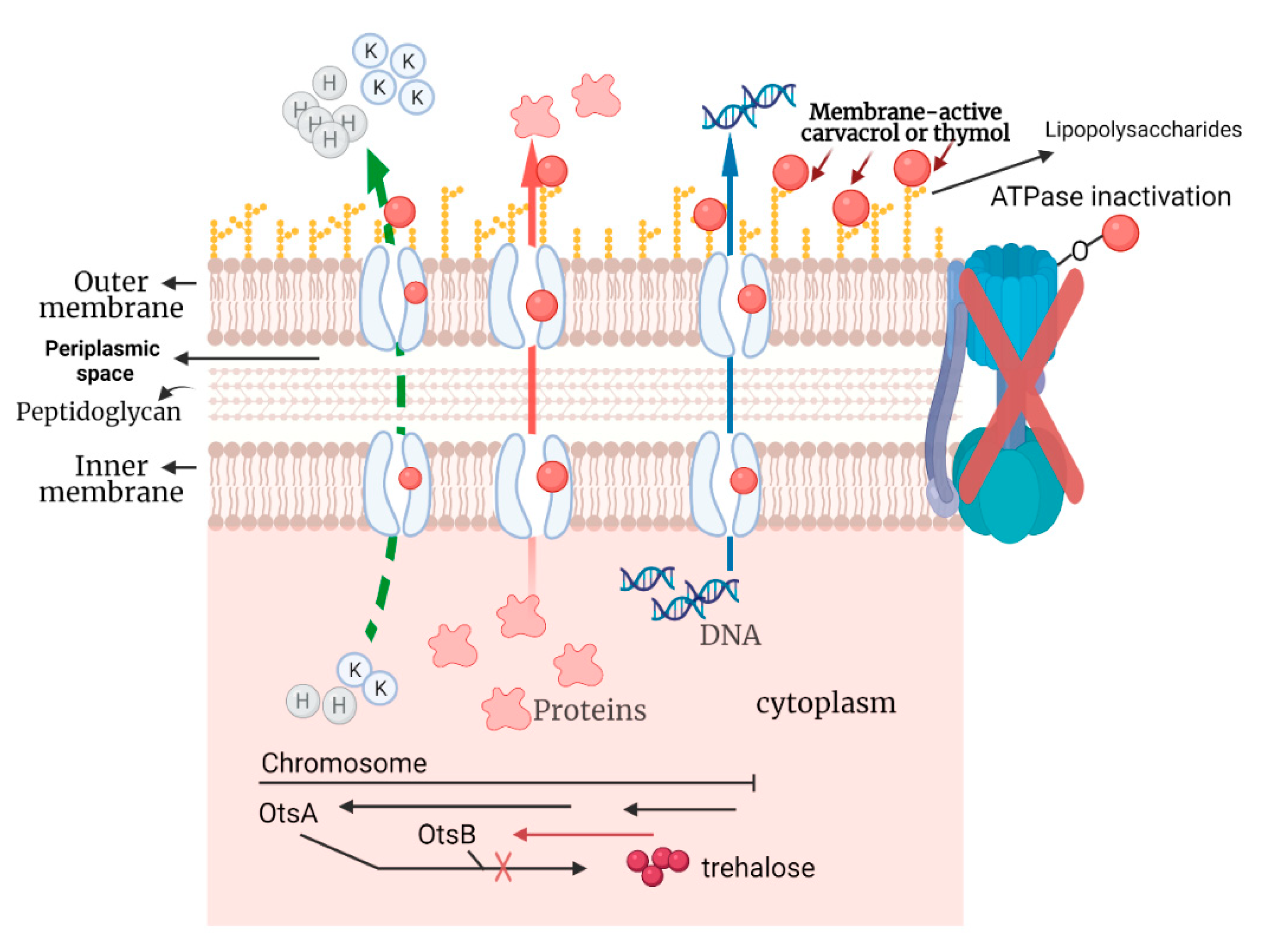 Microorganisms 10 00044 g010 Microorganisms 10 00044 g010