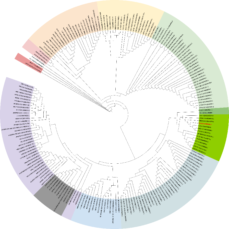 Microorganisms 10 00047 g002