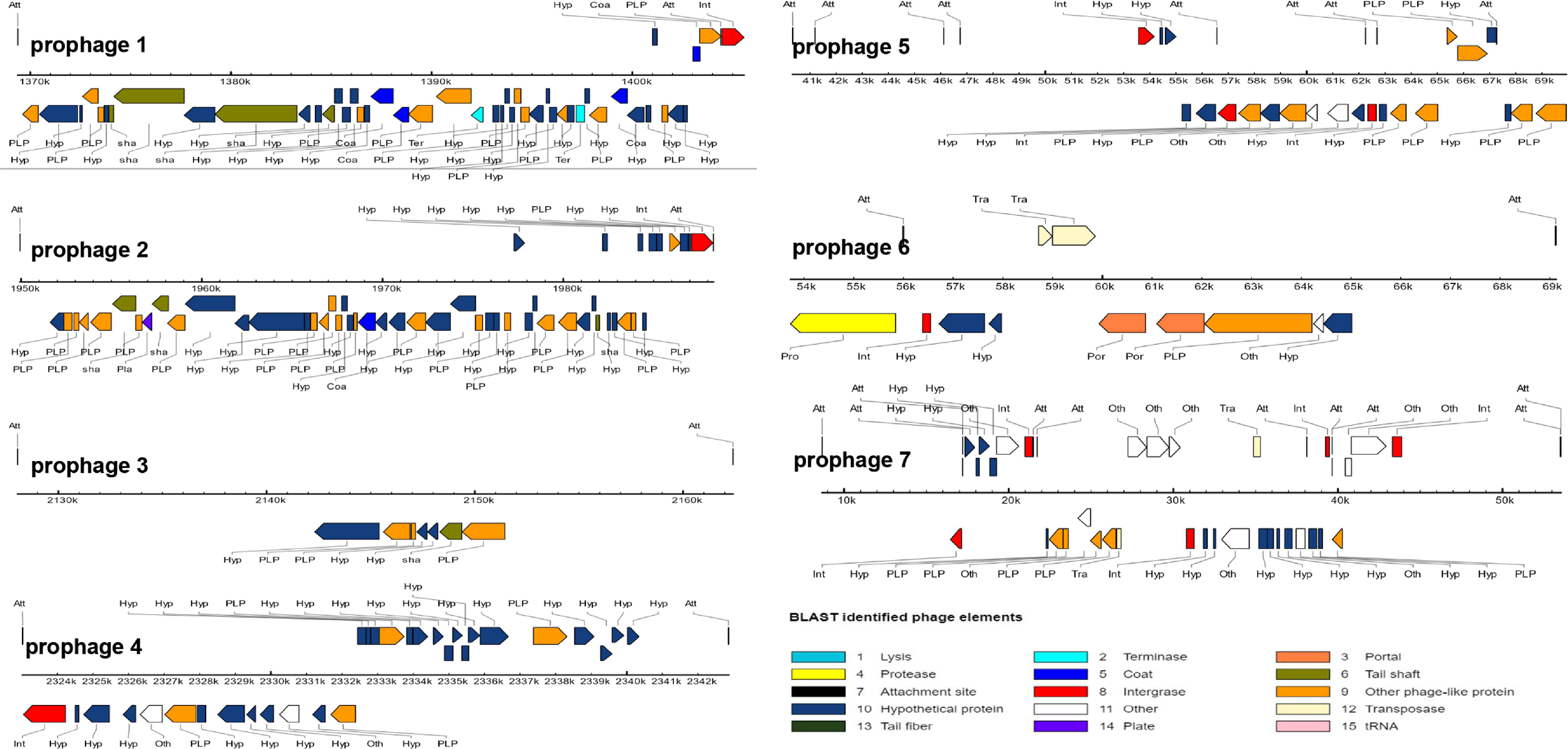 Microorganisms 10 00047 g005