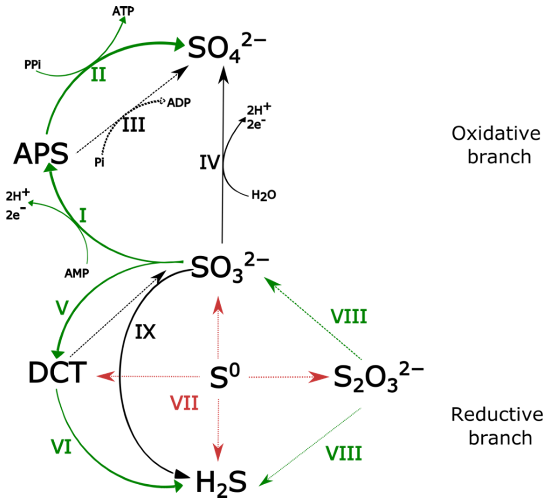 Microorganisms 10 00060 g003 550