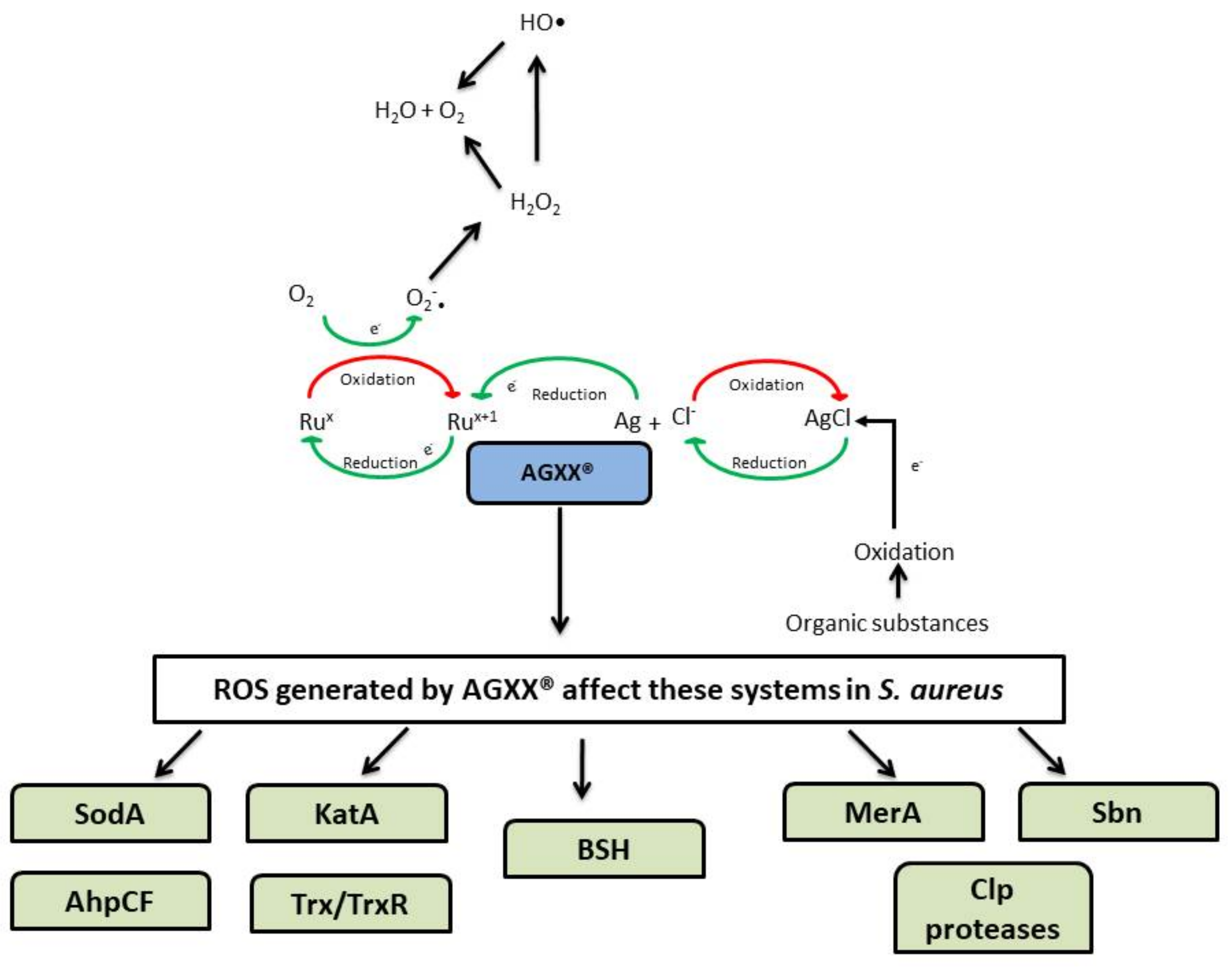Microorganisms 10 00061 g001 Microorganisms 10 00061 g001