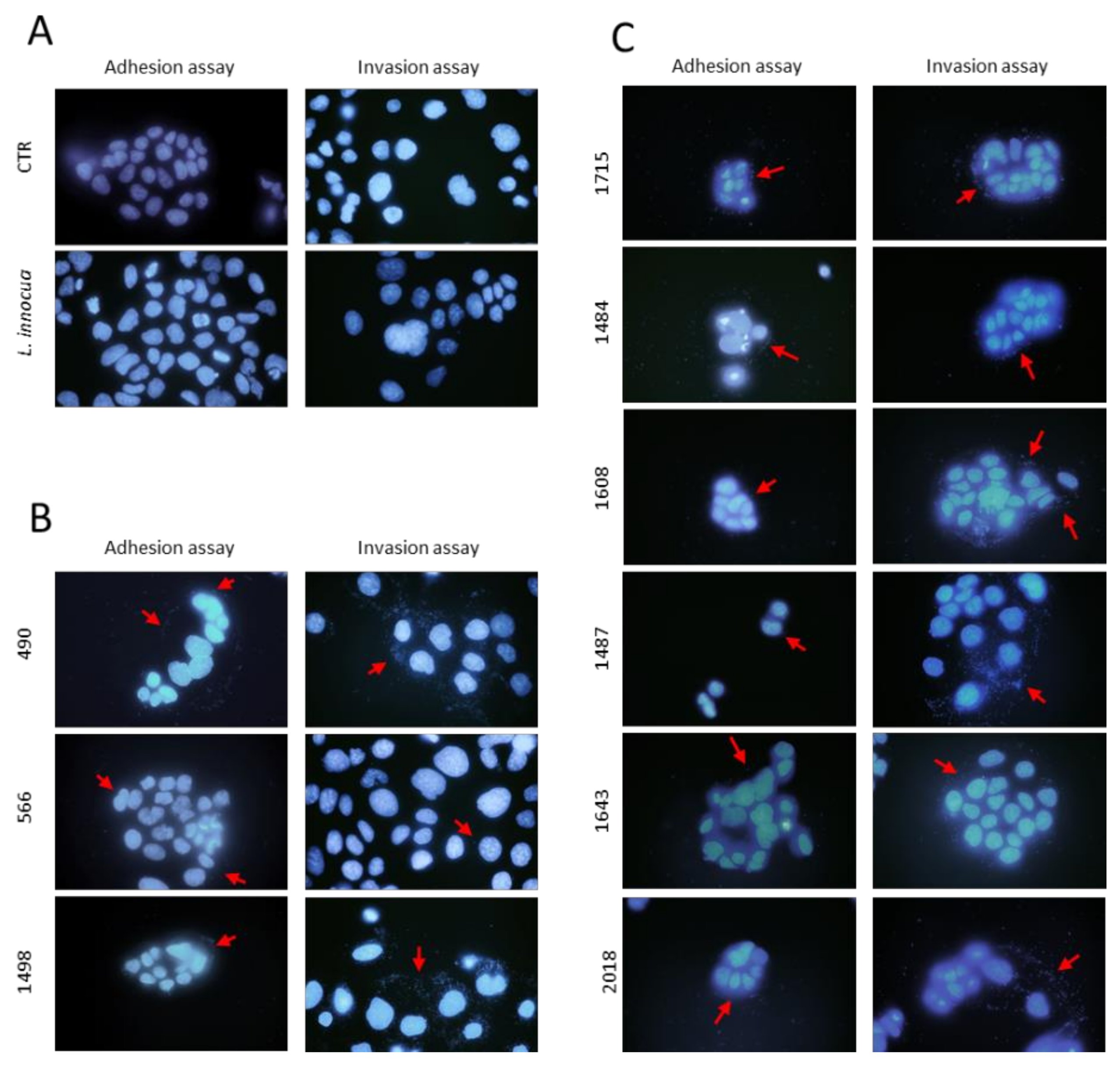 Microorganisms 10 00062 g003 550