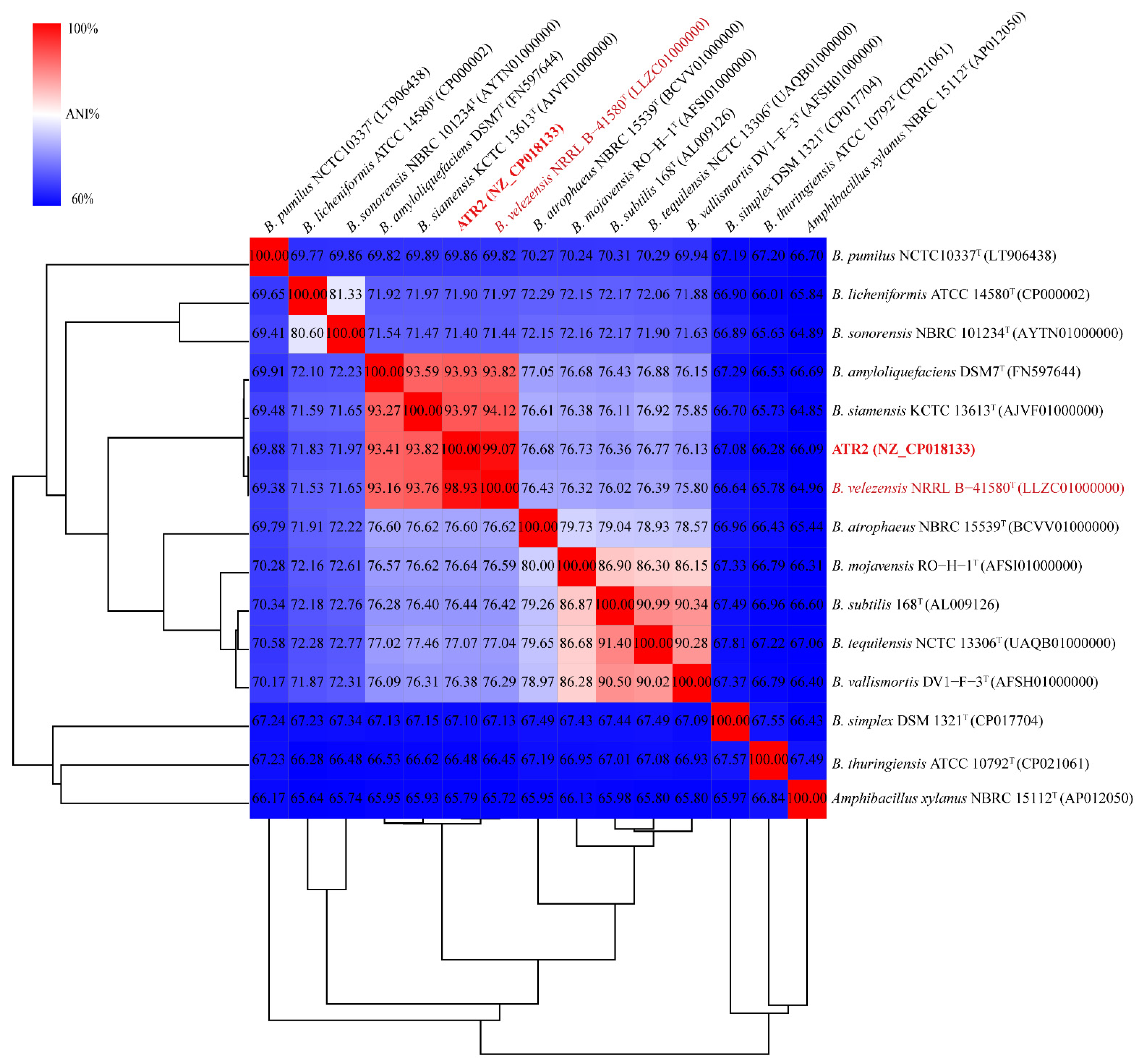 Microorganisms 10 00063 g001 Microorganisms 10 00063 g001