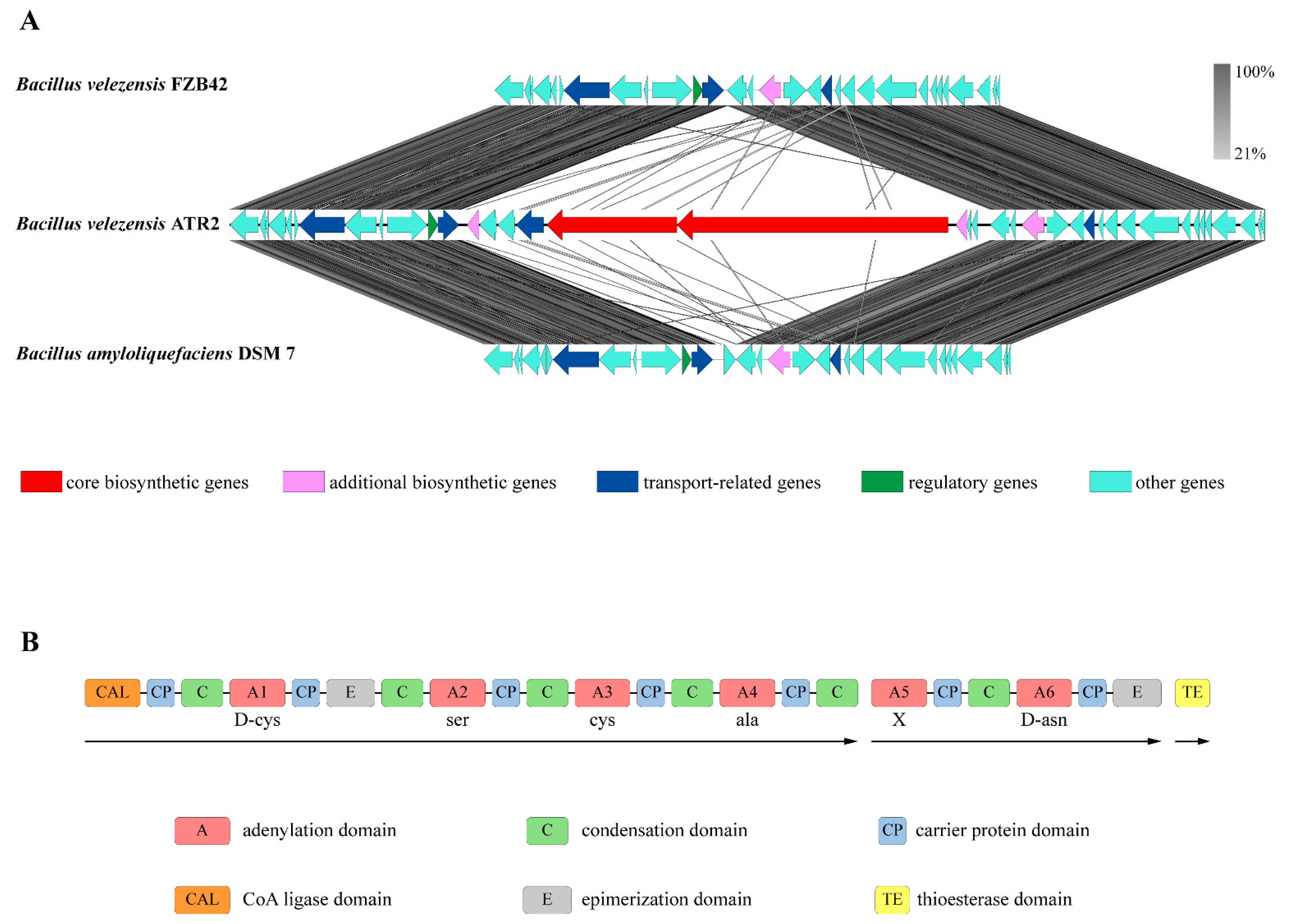 Microorganisms 10 00063 g002 Microorganisms 10 00063 g002