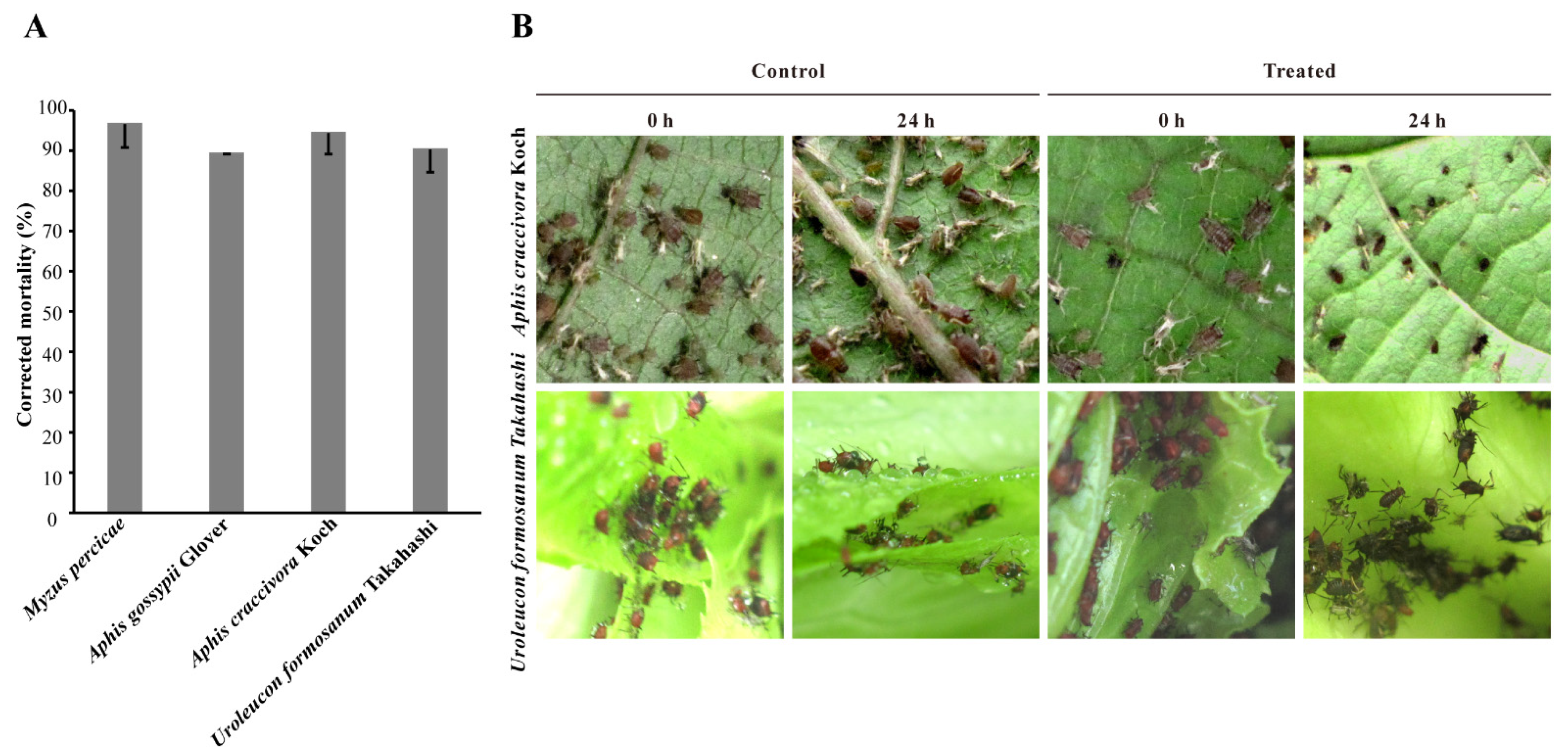 Microorganisms 10 00063 g004 Microorganisms 10 00063 g004