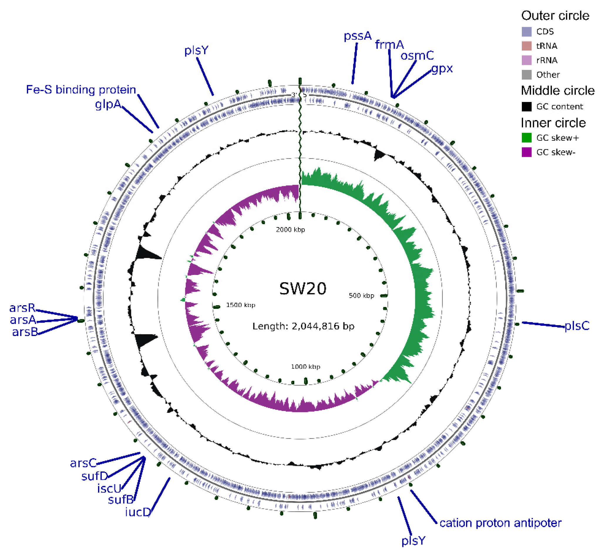 Microorganisms 10 00066 g002