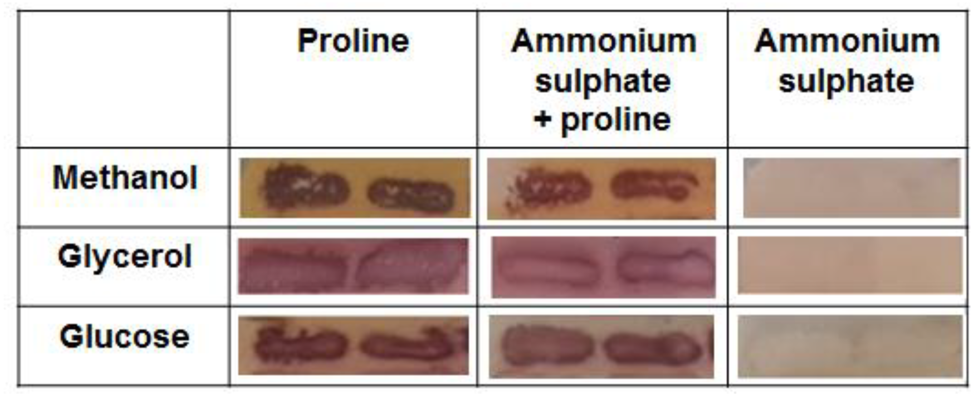 Microorganisms 10 00067 g001 Microorganisms 10 00067 g001