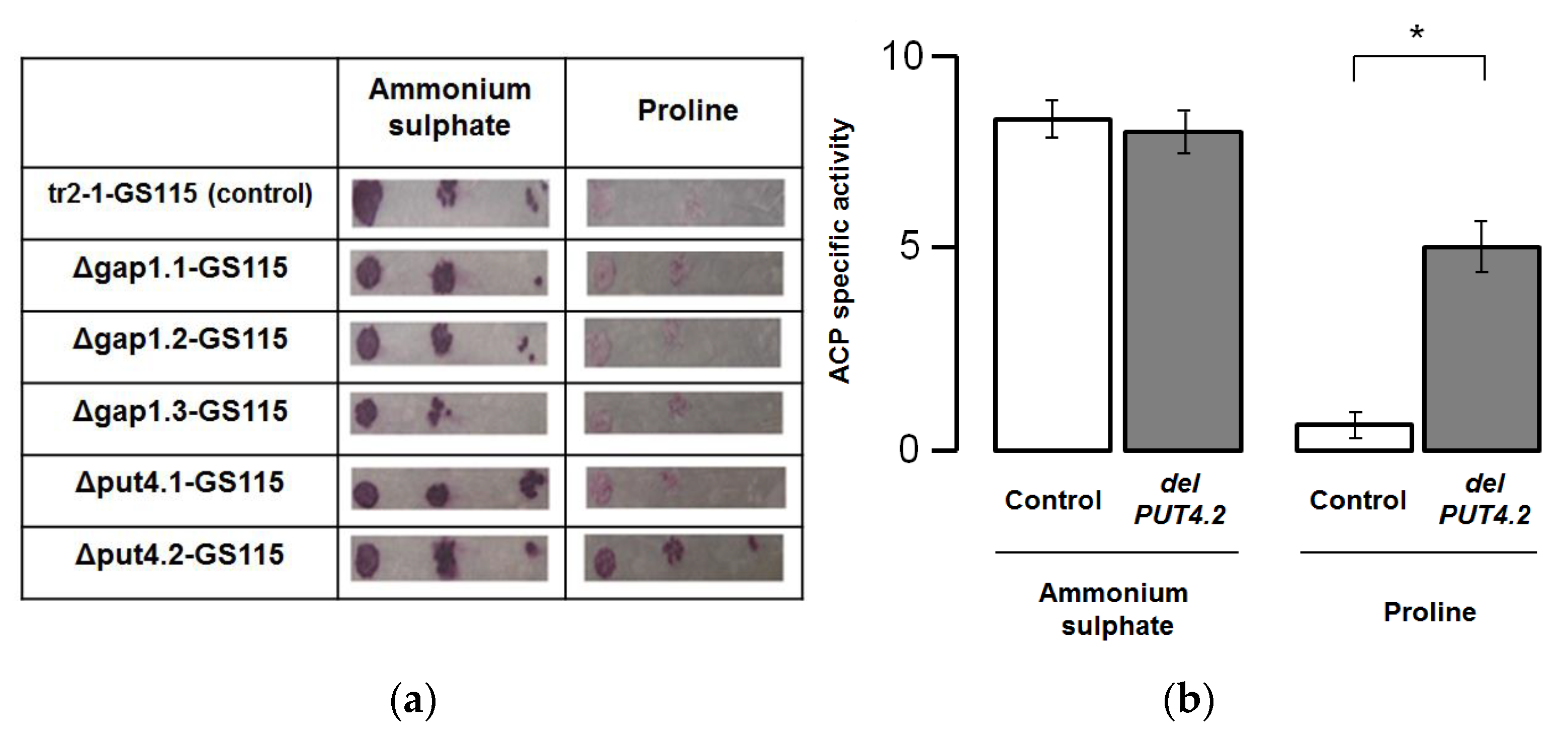 Microorganisms 10 00067 g005 Microorganisms 10 00067 g005