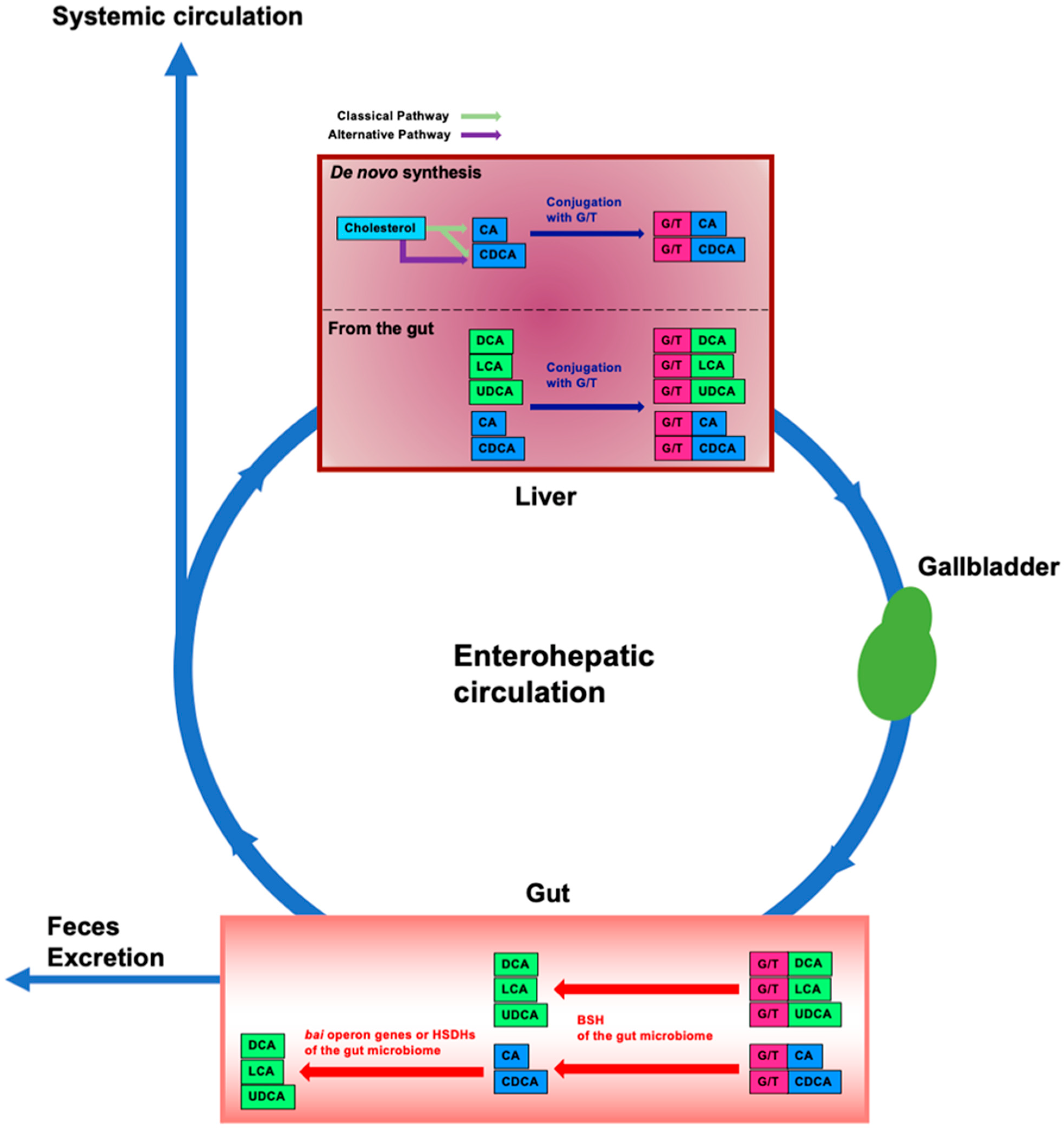 Microorganisms 10 00068 g001