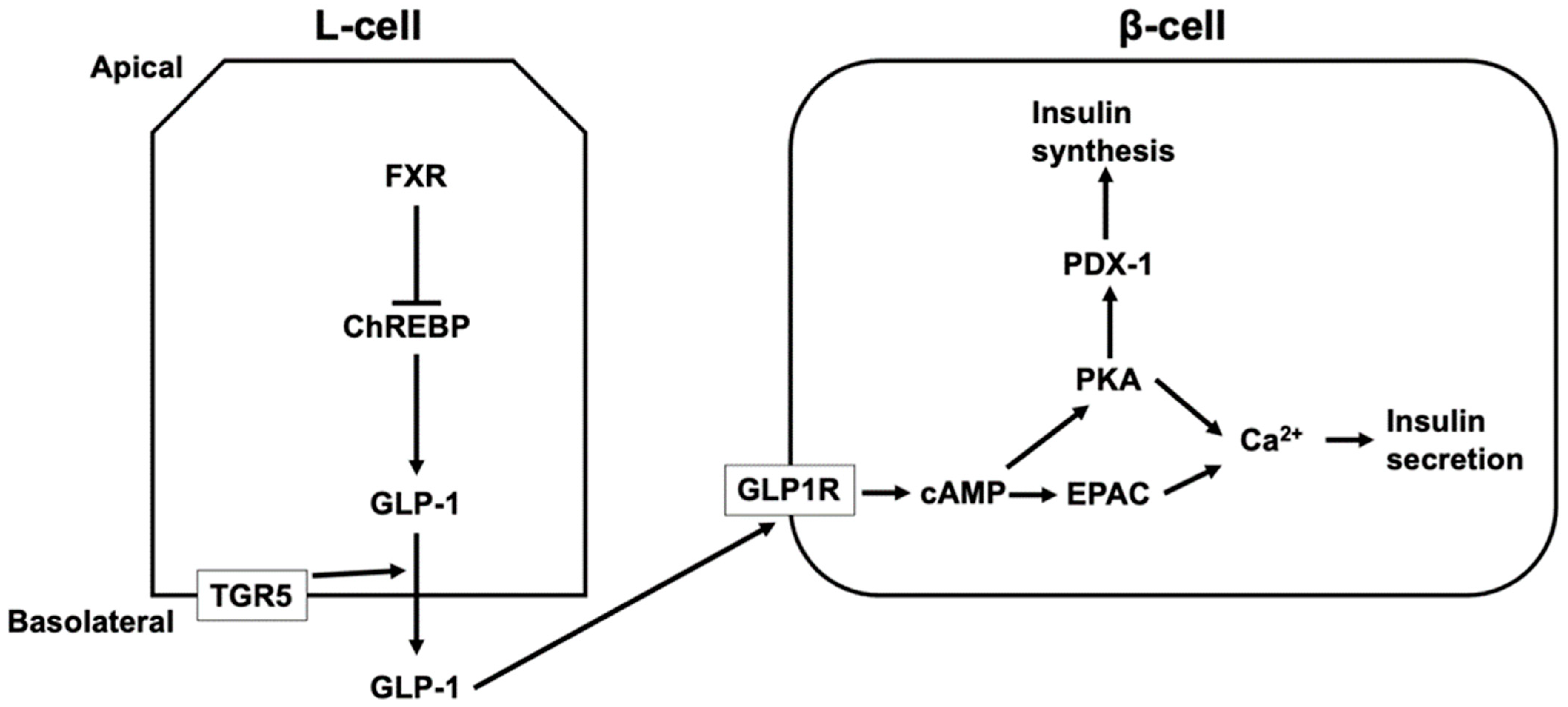 Microorganisms 10 00068 g003