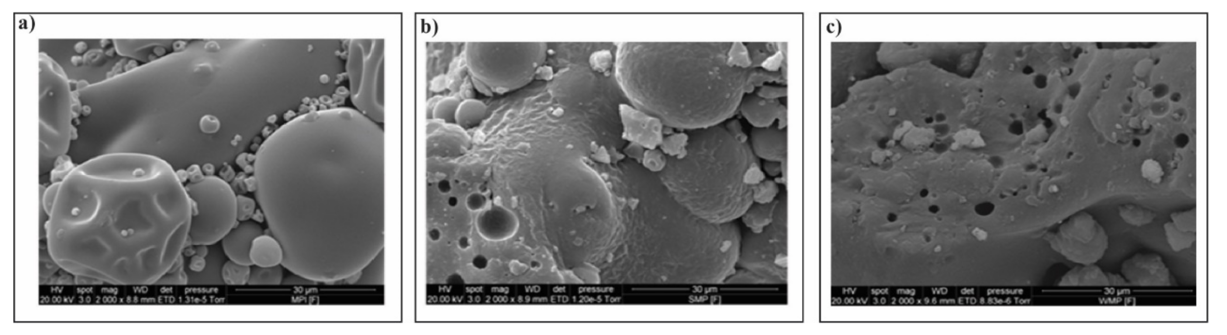 Microorganisms 10 00074 g002