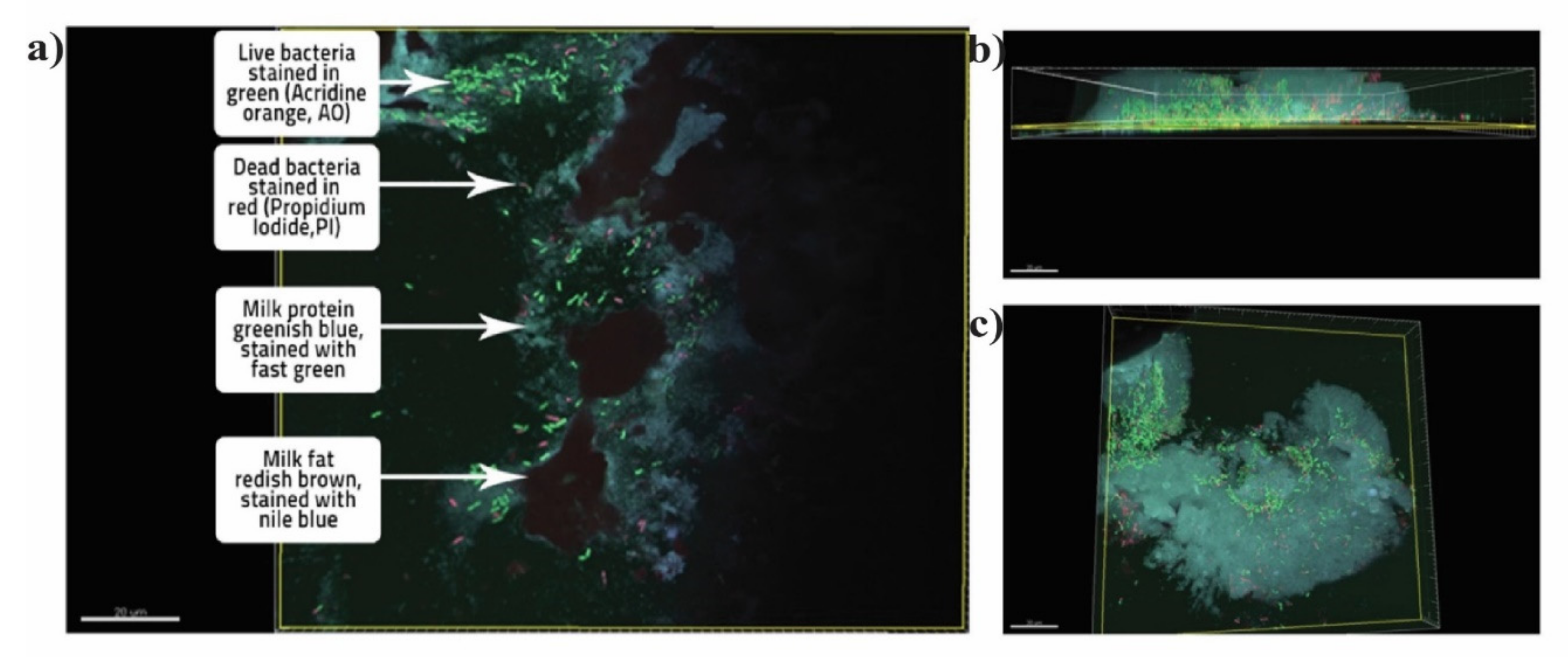 Microorganisms 10 00074 g003