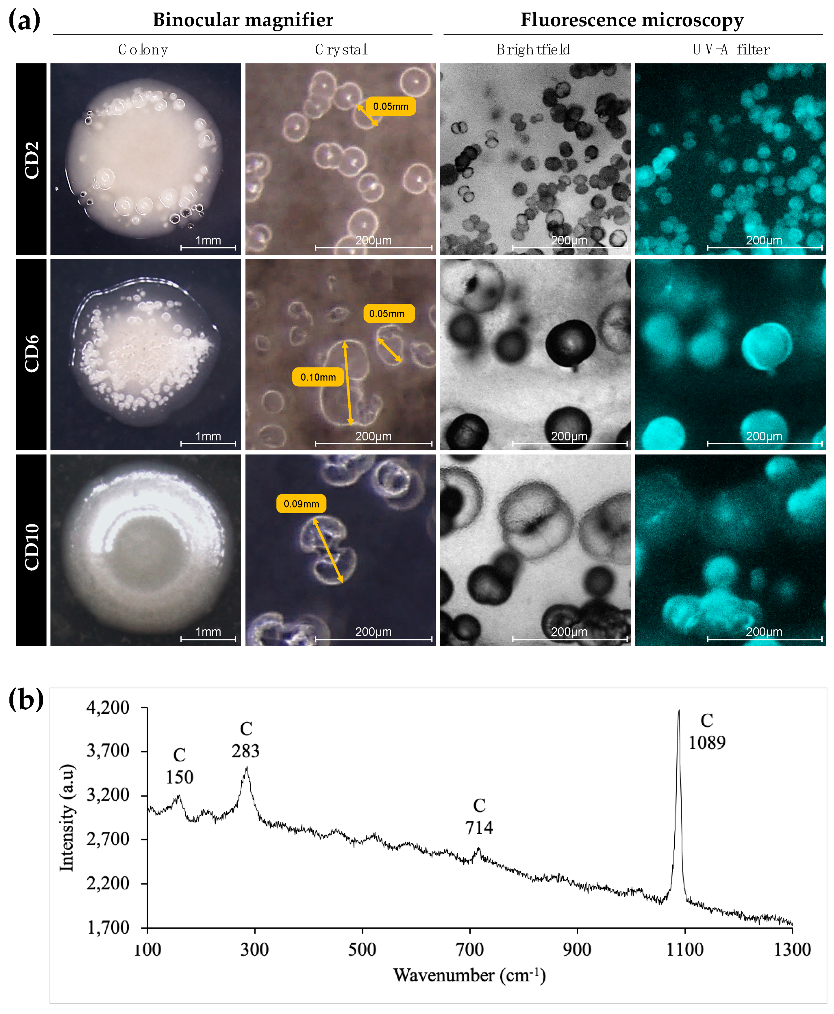 Microorganisms 10 00076 g003 550