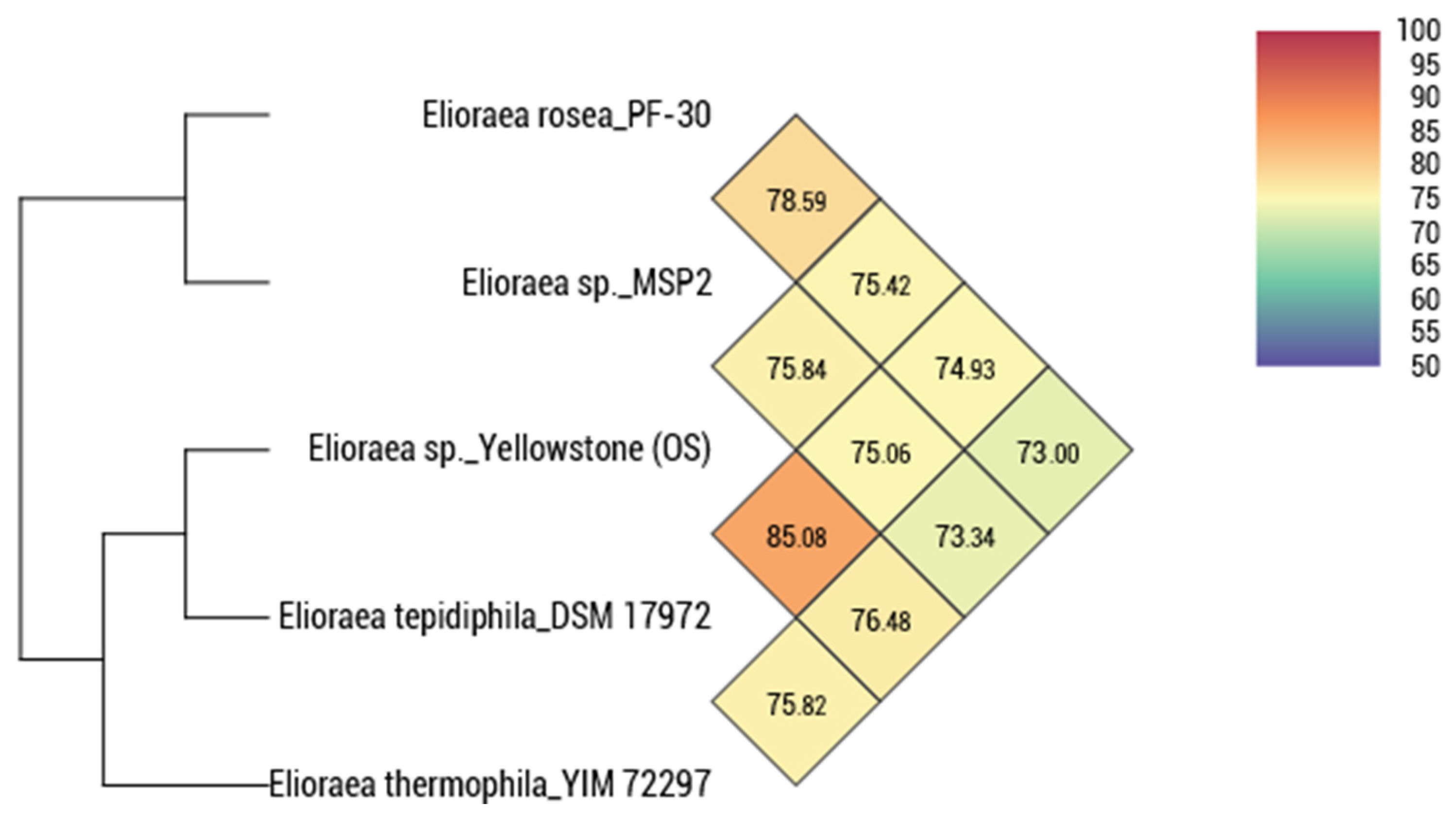 Microorganisms 10 00080 g004 Microorganisms 10 00080 g004