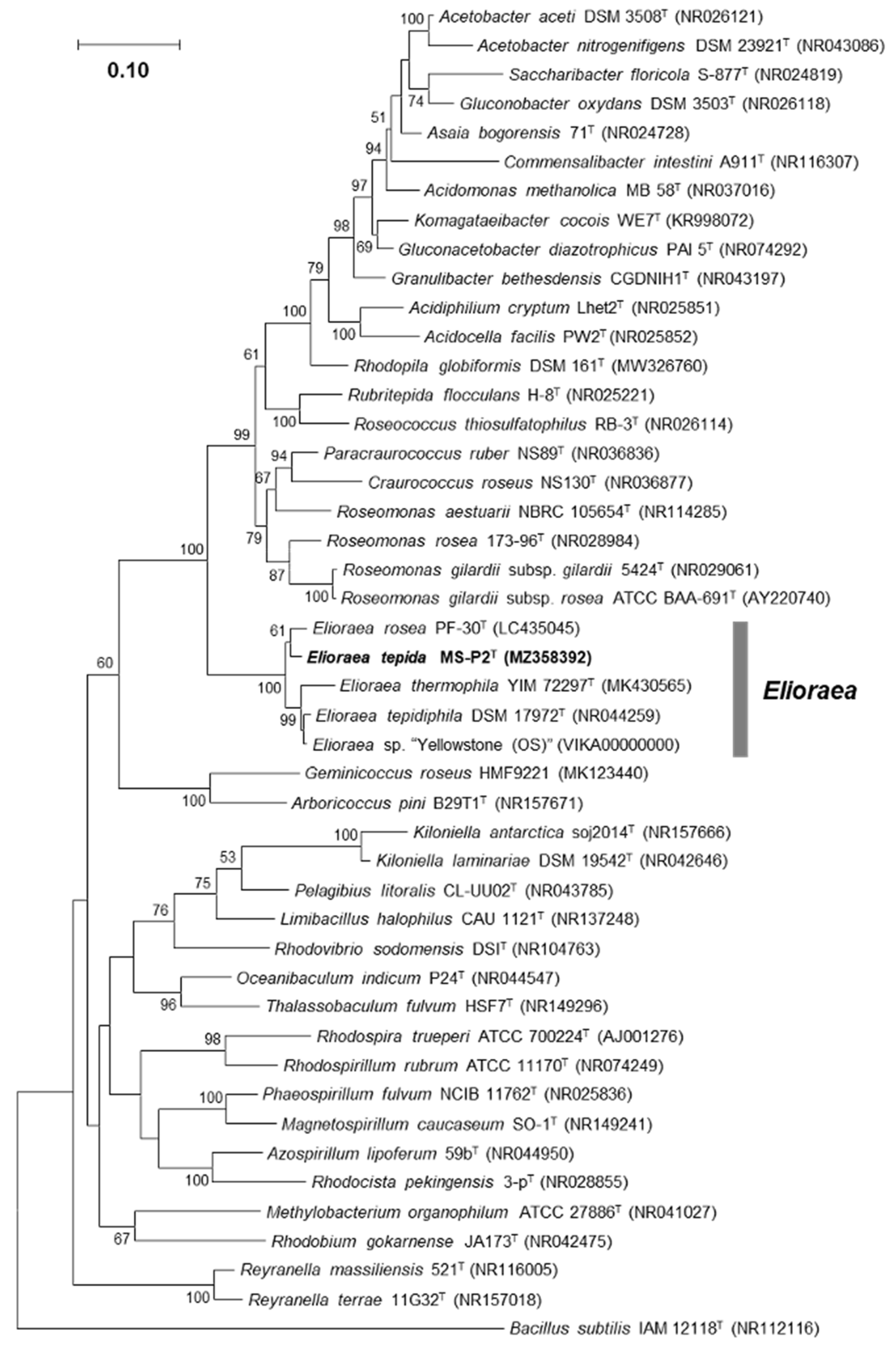 Microorganisms 10 00080 g005 Microorganisms 10 00080 g005