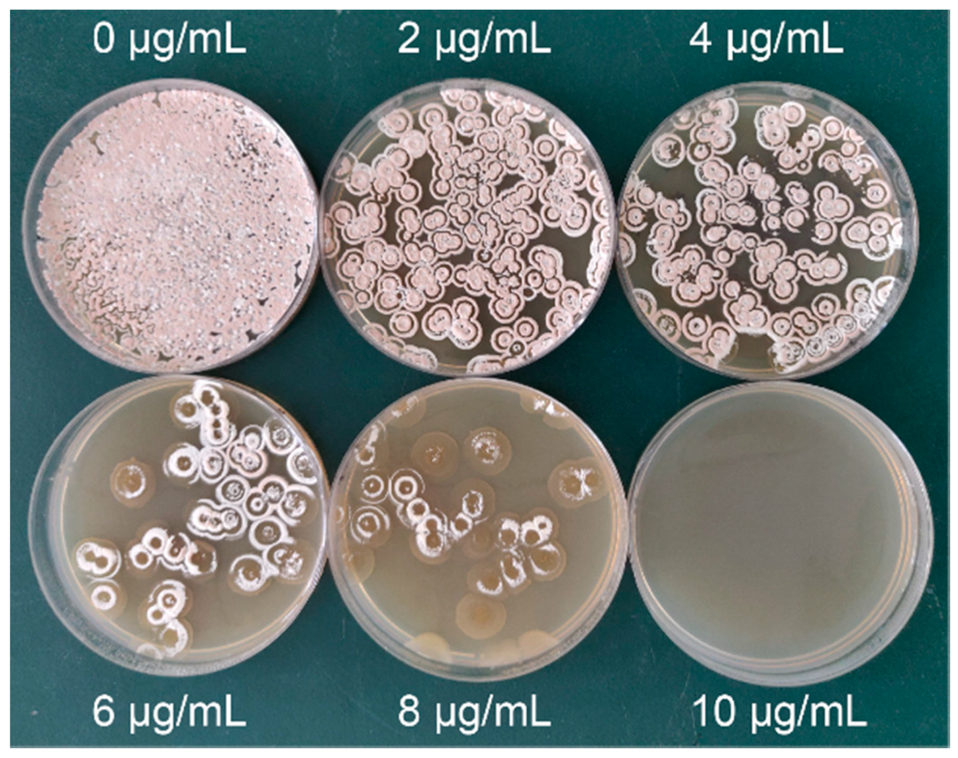 Microorganisms 10 00094 g003 Microorganisms 10 00094 g003